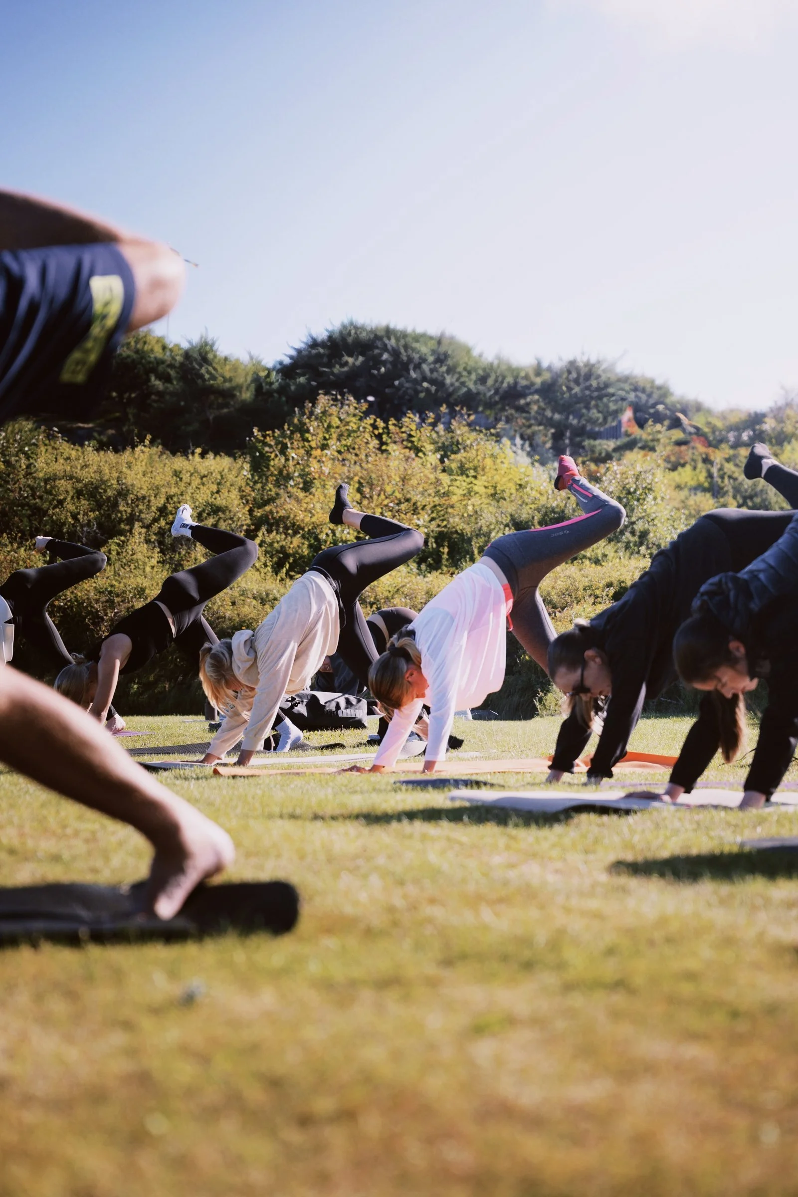 People doing pilates exercises on grass in an outdoor park or field during daytime.