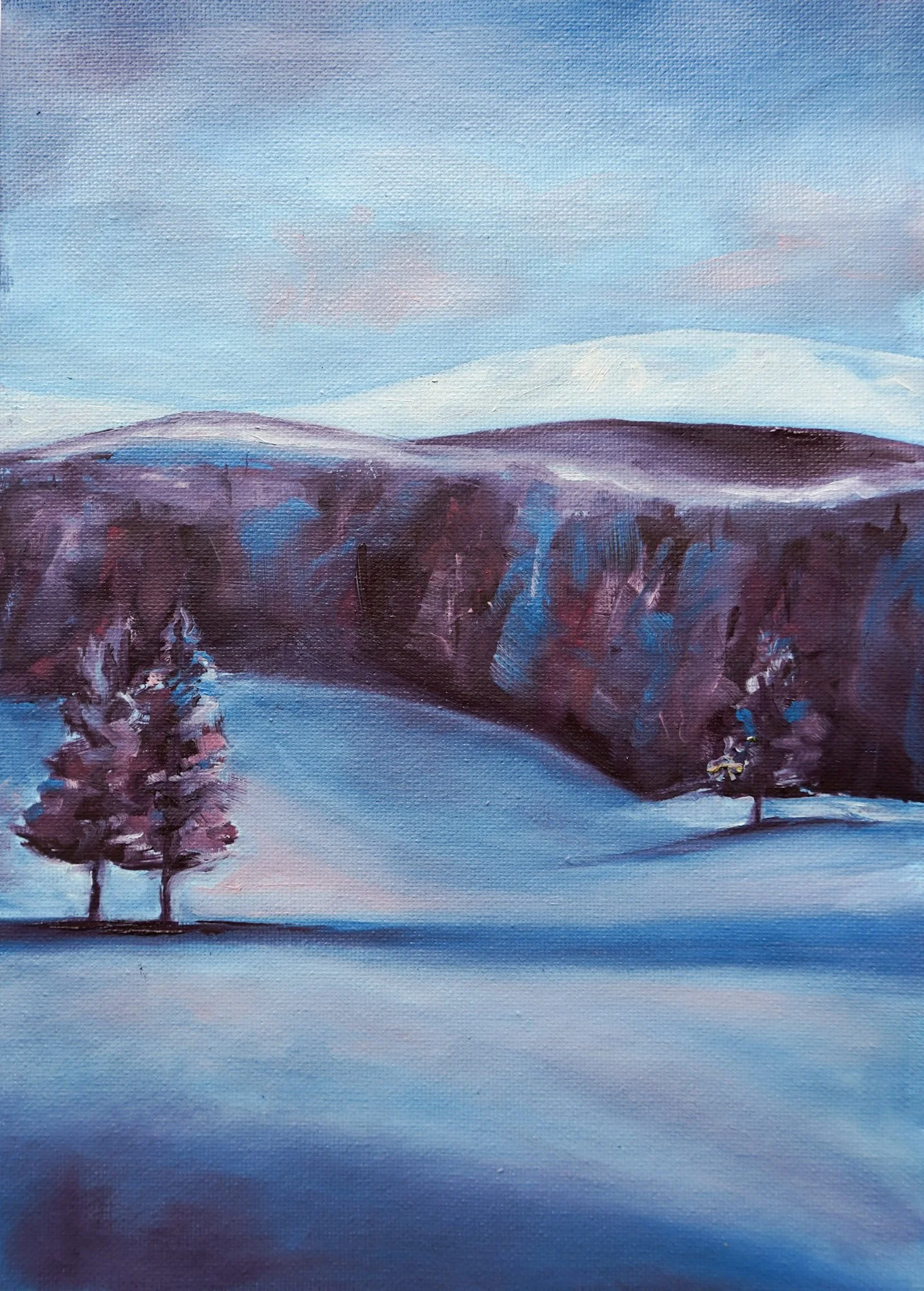 Still Snow