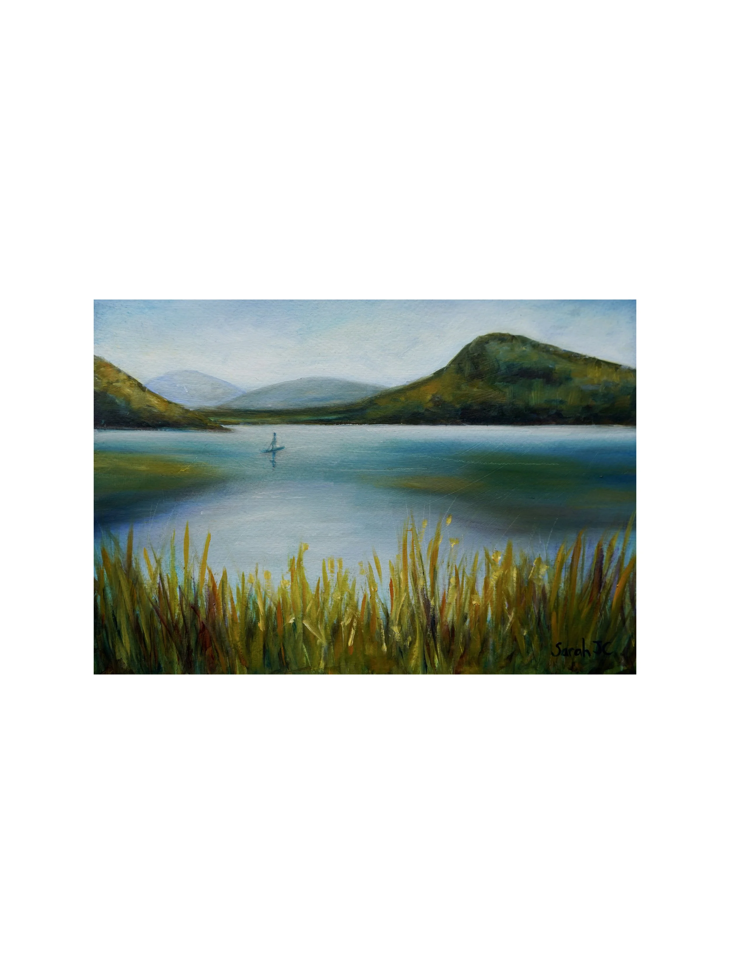 Paddle Board