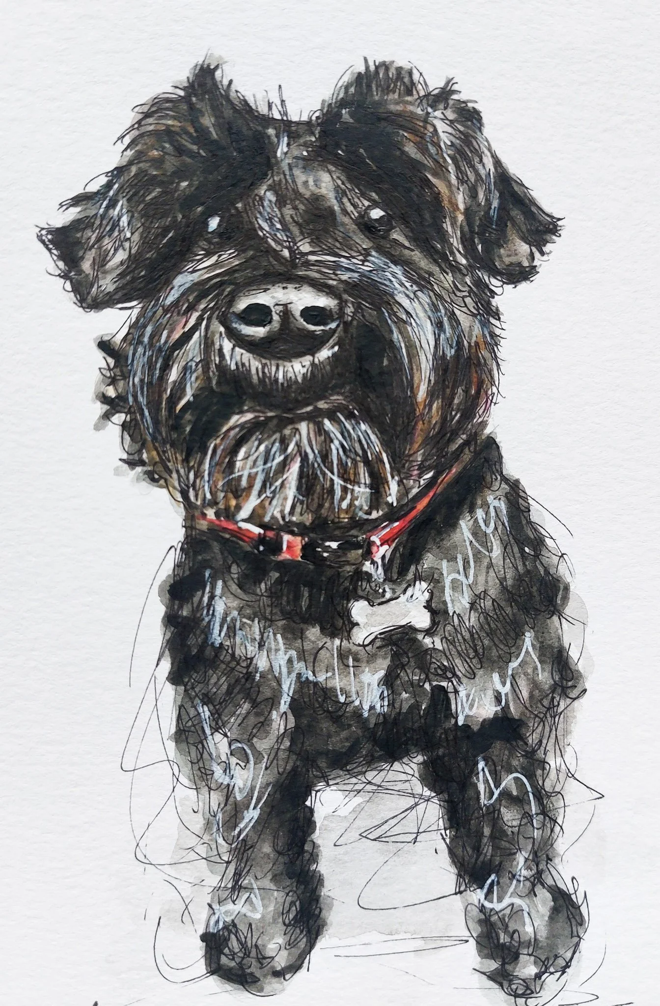 A watercolor painting of a black and brown dog with a beard, wearing a red collar.
