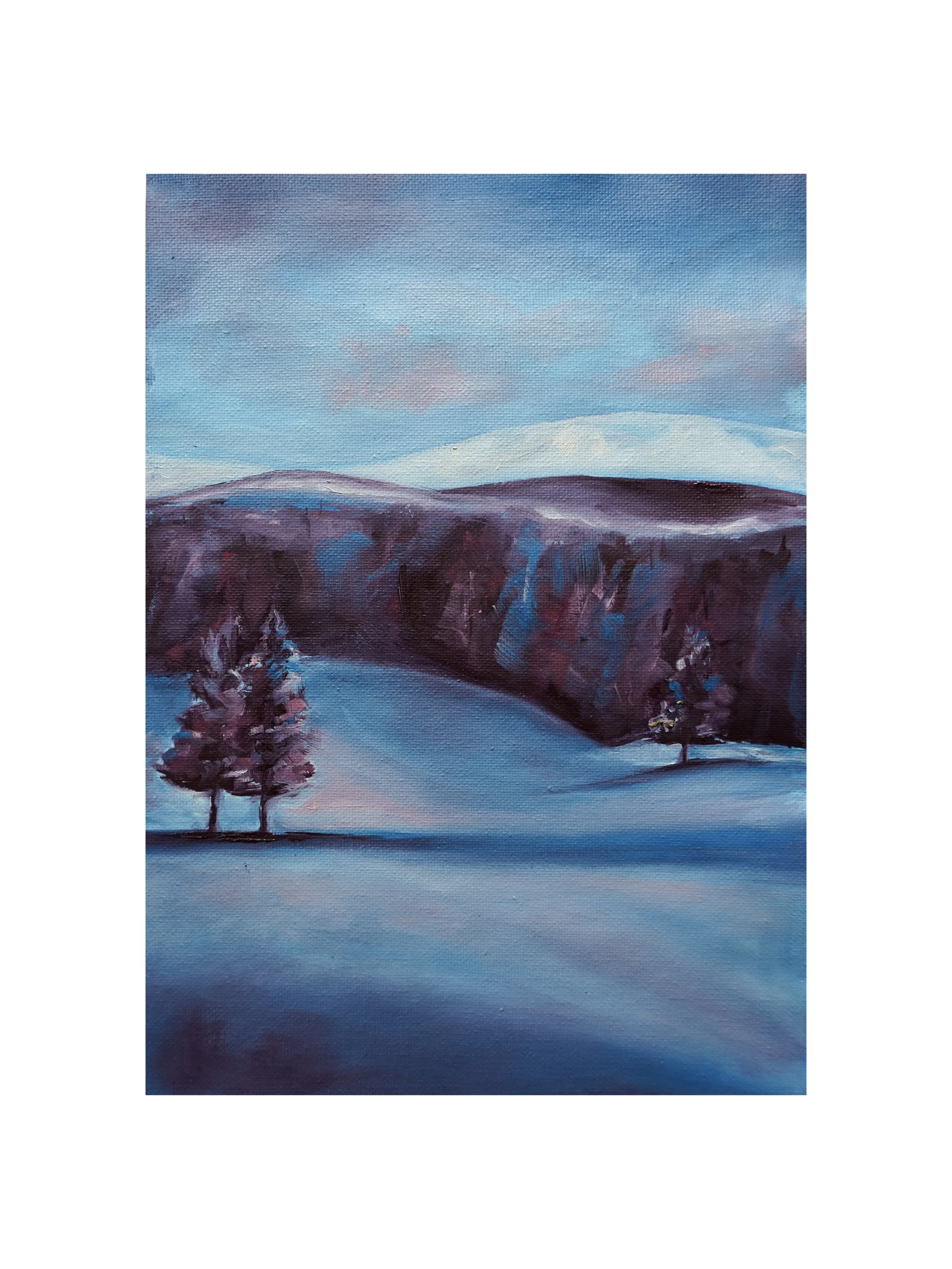 Still Snow