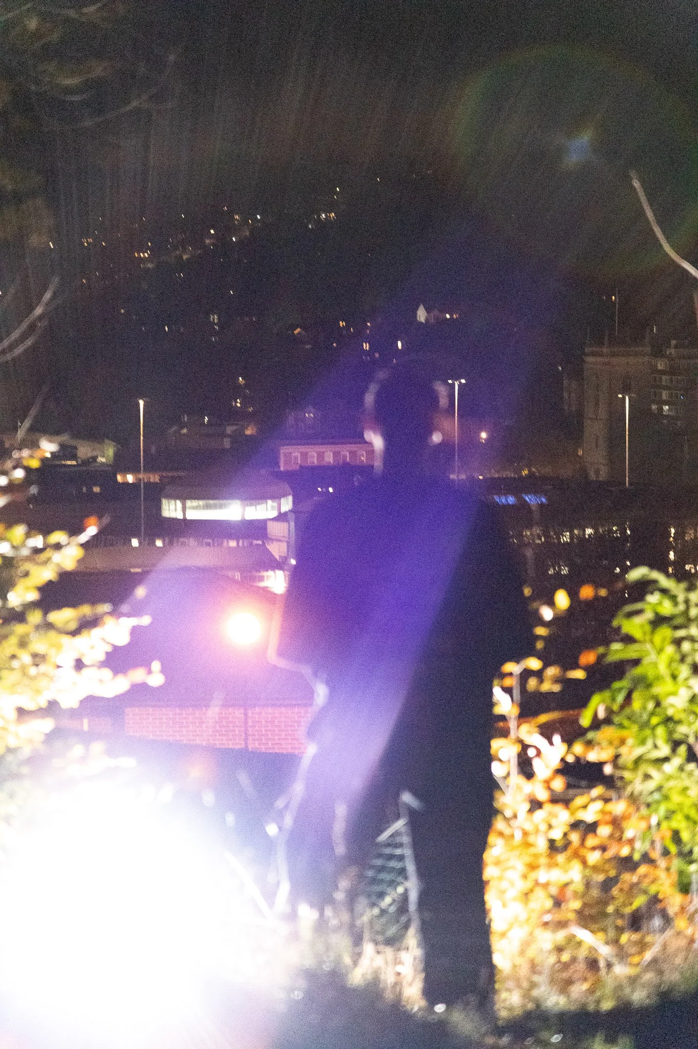 Tal Jones,  25th November, 2026. Nighttime city scene with illuminated trees and buildings, streetlights, and a bright white light in the foreground.