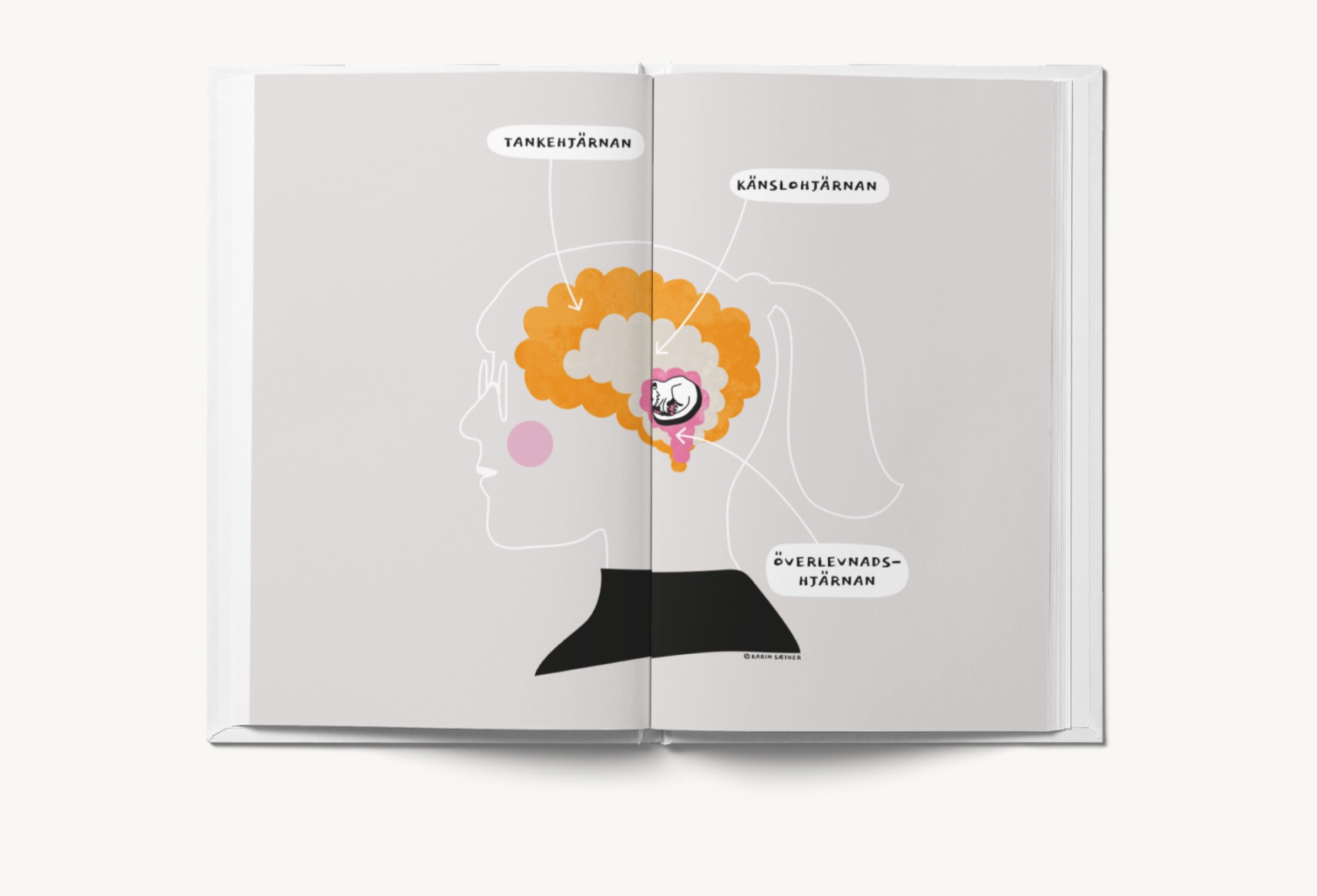 Sexologist Sofia Rydhög /  Illustrations for research presentations