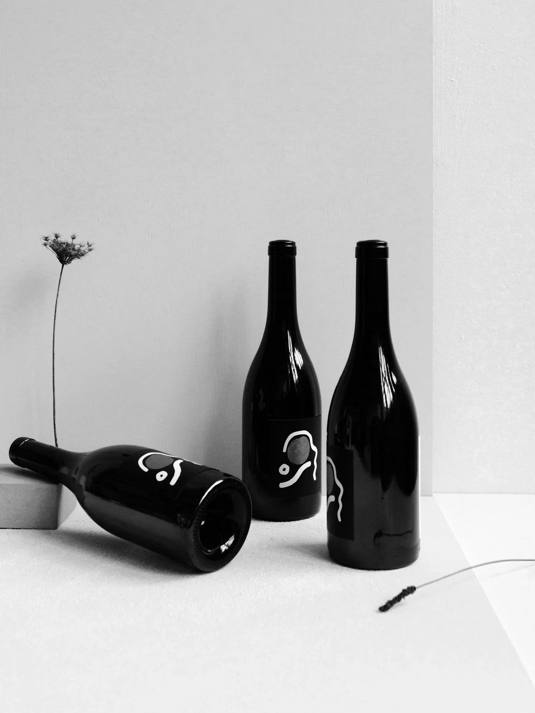 Schwarz lackierte Weinflaschen, eine Blumenvase mit einer einzelnen Pflanze, ein umgedrehter und ein stehender Weinkorkenzieher sowie ein Schneebesen liegen auf einer weißen Oberfläche.