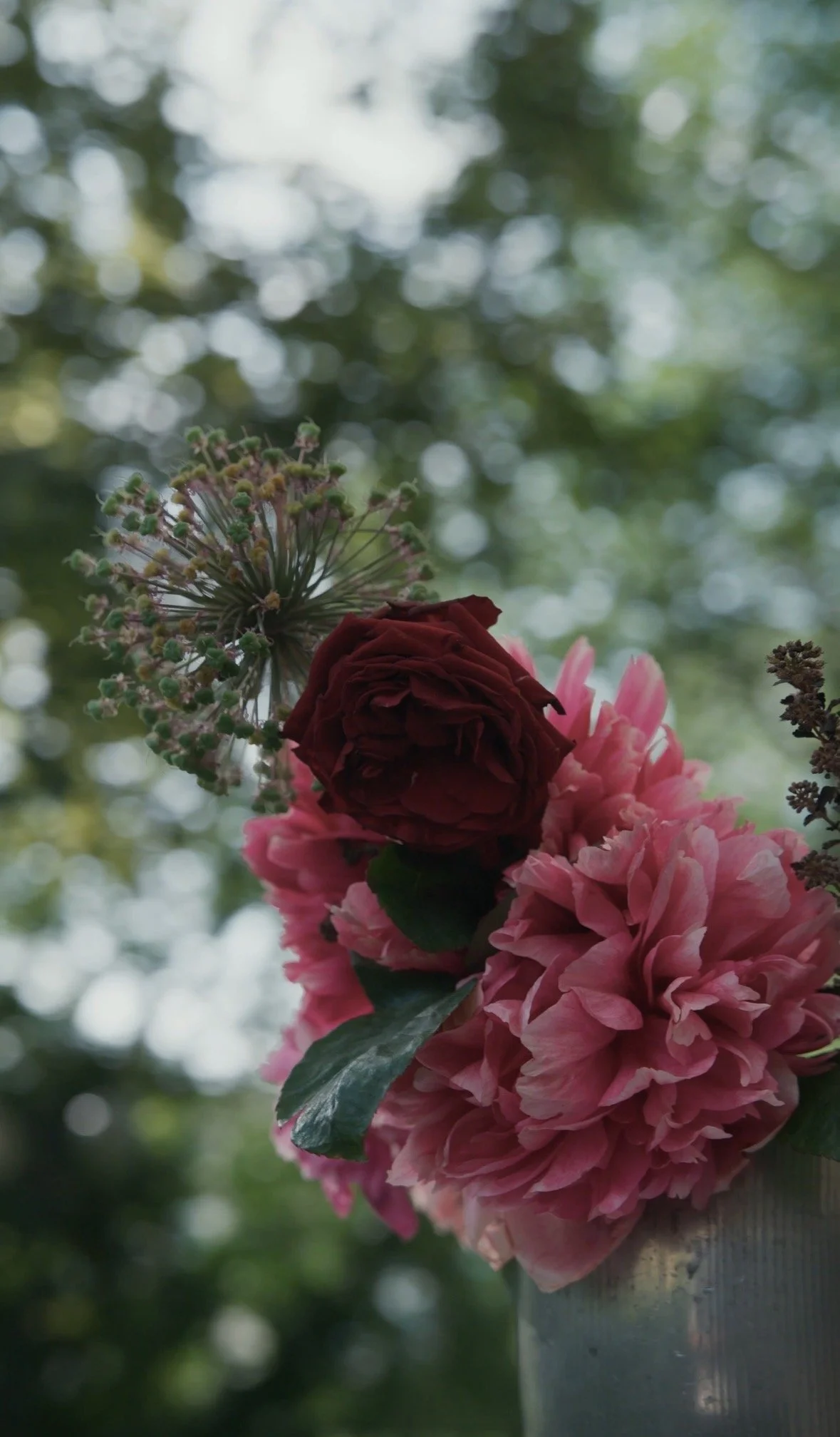 Bunte Blumen, darunter eine große pinke und eine rote Rose, vor einem unscharfen grünen Baumhintergrund.