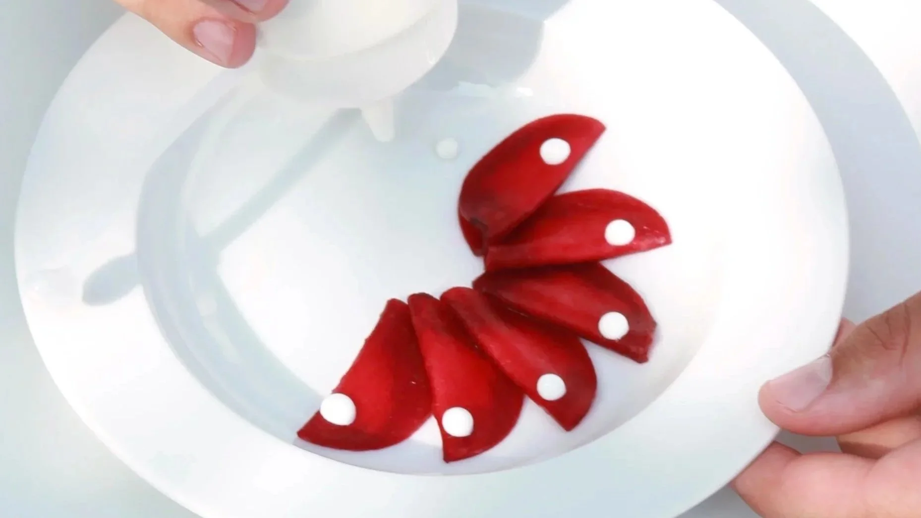 Eine Hand hält eine weiße Platte, auf der mehrere Scheiben Wassermelone mit weißen Kirschenpickern gesteckt sind.