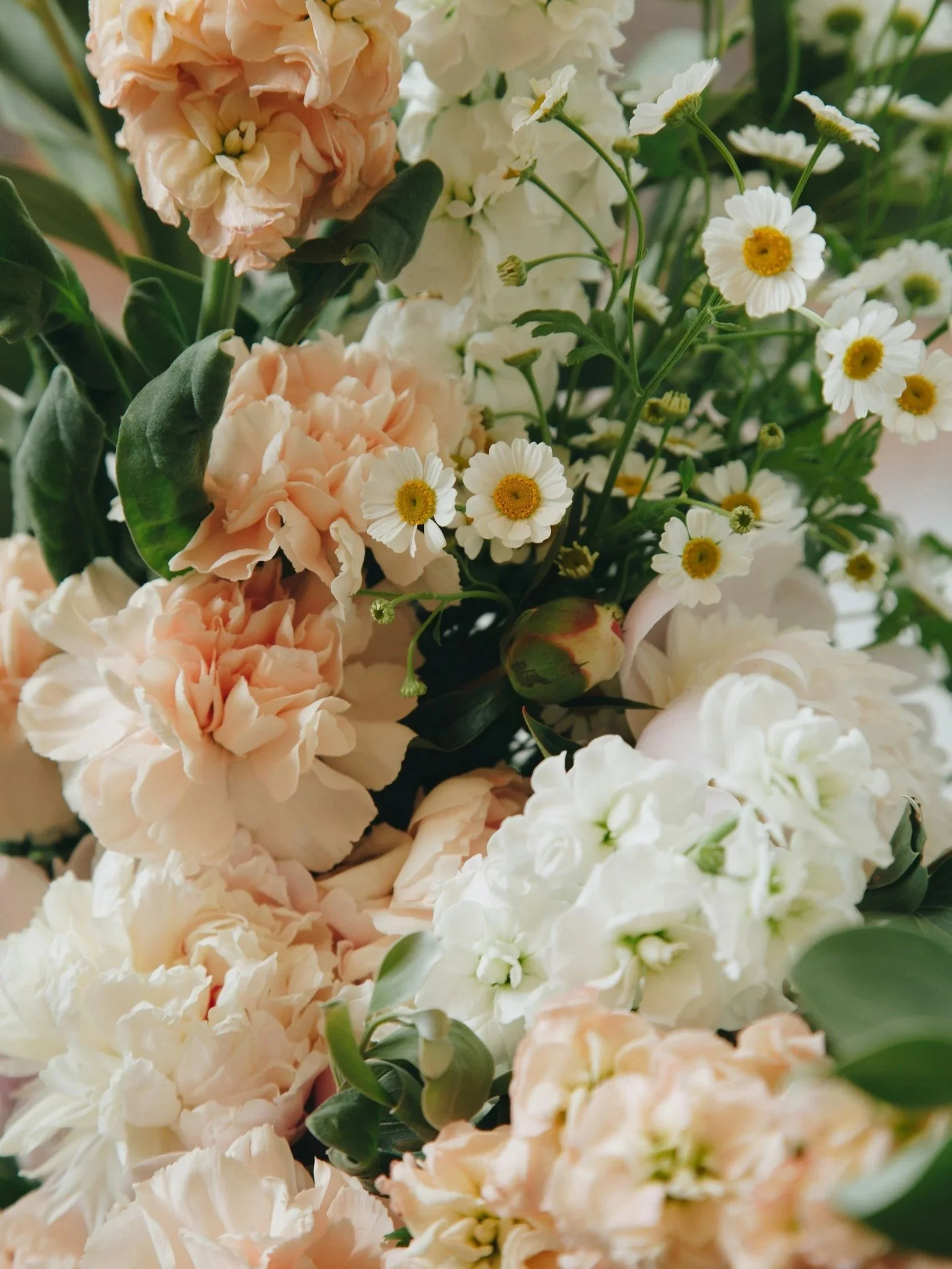 Blumenstrauß mit hellrosafarbenen, weißen und cremefarbenen Blüten, darunter Pfingstrosen, Kamillen und andere Blumen, mit grünen Blättern
