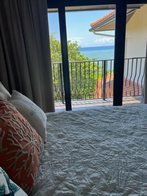 View of a balcony with a black railing and an ocean in the distance, seen through glass sliding doors from a bedroom with a white quilted bed and pillows.
