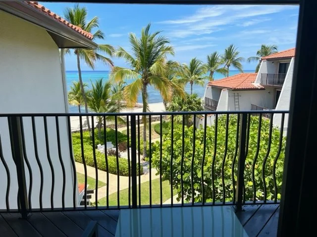View from a balcony overlooking a lush green garden with palm trees, white sandy beach, and the ocean in the background, under a blue sky.