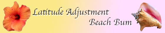 A gradient background with a red hibiscus flower on the left, black cursive text that reads 'Latitude Adjustment Beach Bum,' and a seashell on the right.