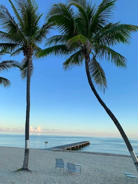 Two palm trees on a beach with a pier extending into the ocean and empty chairs on the sand during daytime.