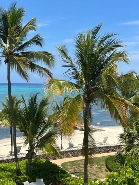 Tropical scene with palm trees on a sandy beach overlooking the ocean, under a clear blue sky.