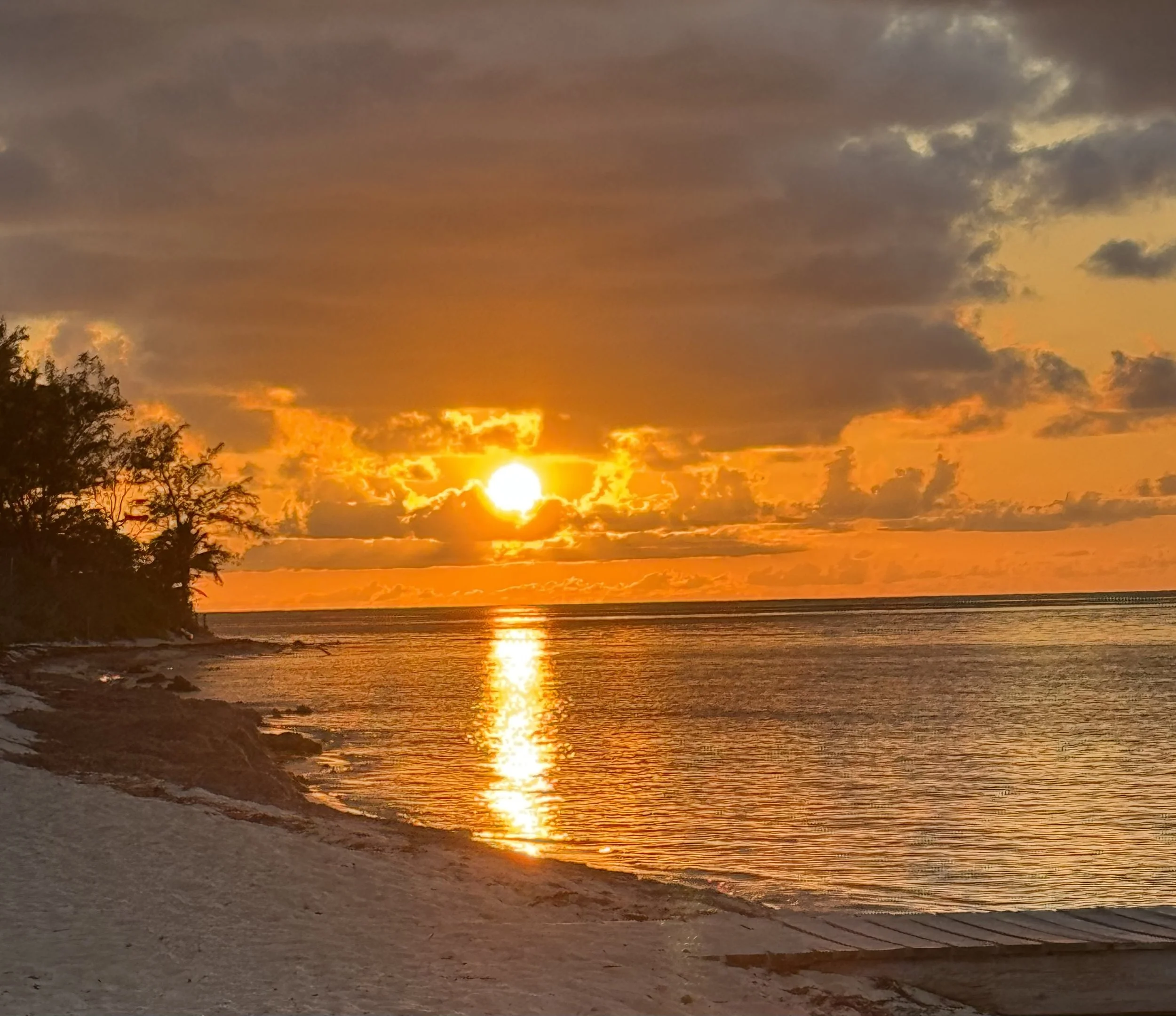Sunset over the ocean with the sun near the horizon, partly cloudy sky, and trees silhouette on the left on the beach.