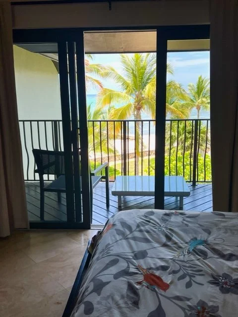 View from a bedroom with sliding glass doors leading to a balcony overlooking a tropical beach with palm trees and ocean through the window.