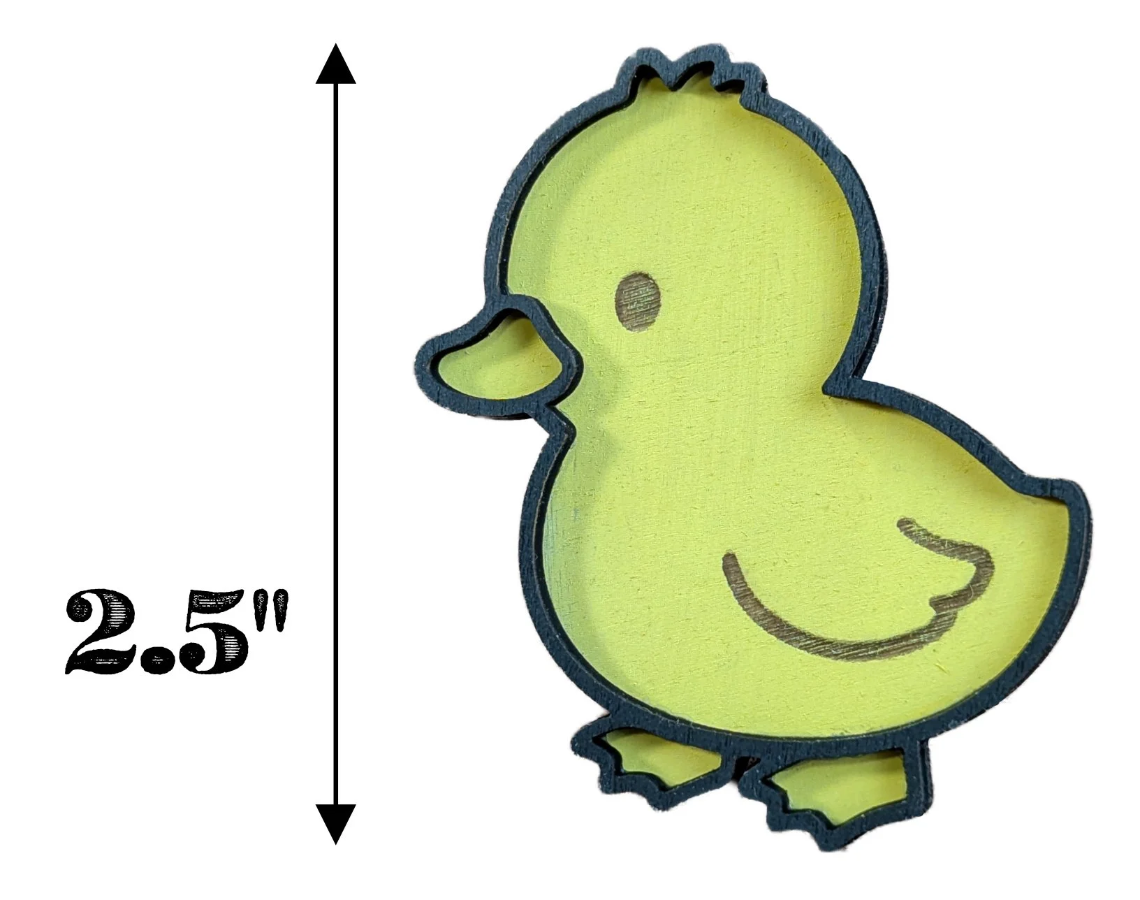 Duck-Water-Measurements.jpg
