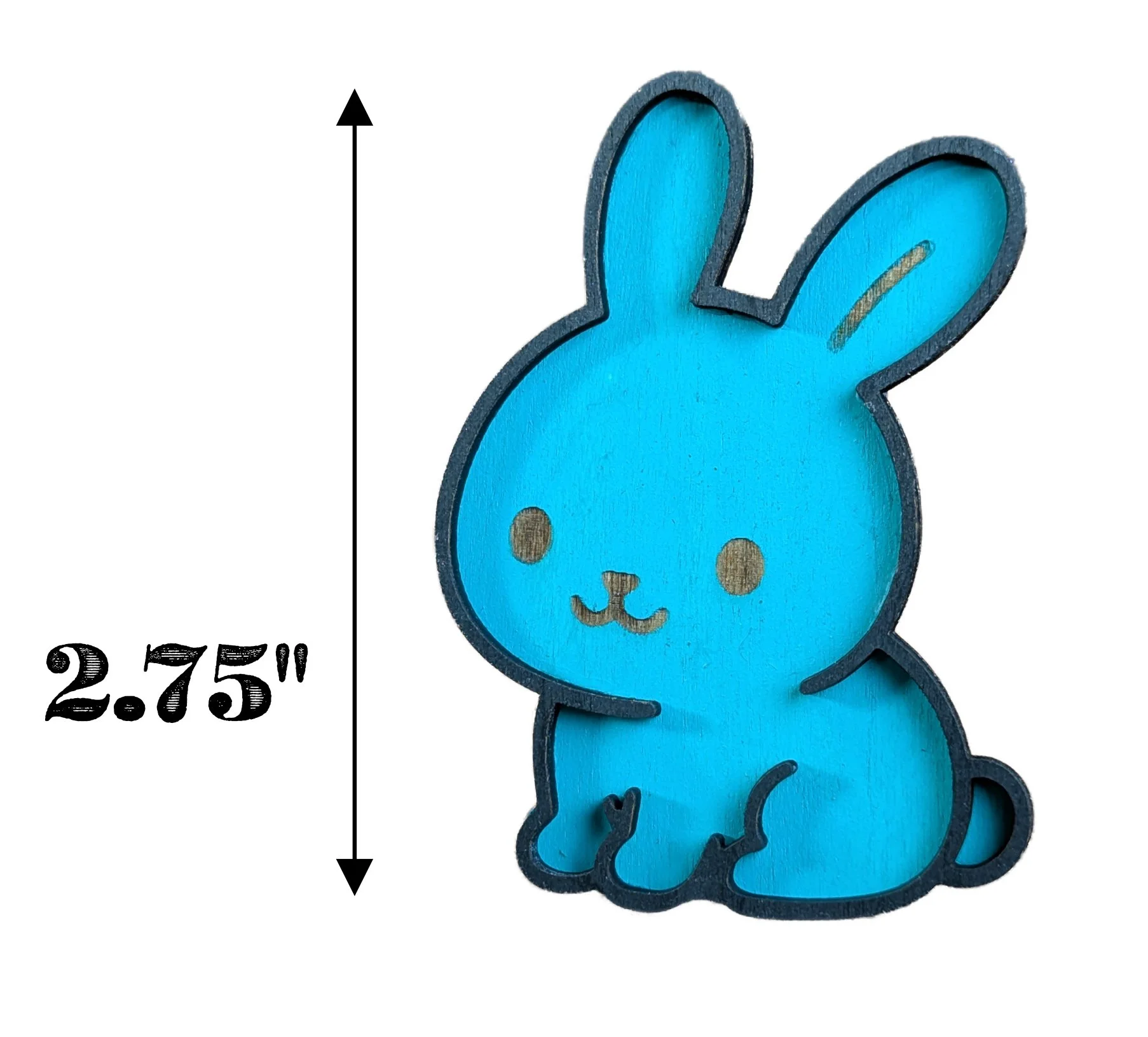 Bunny-Measurements.jpg