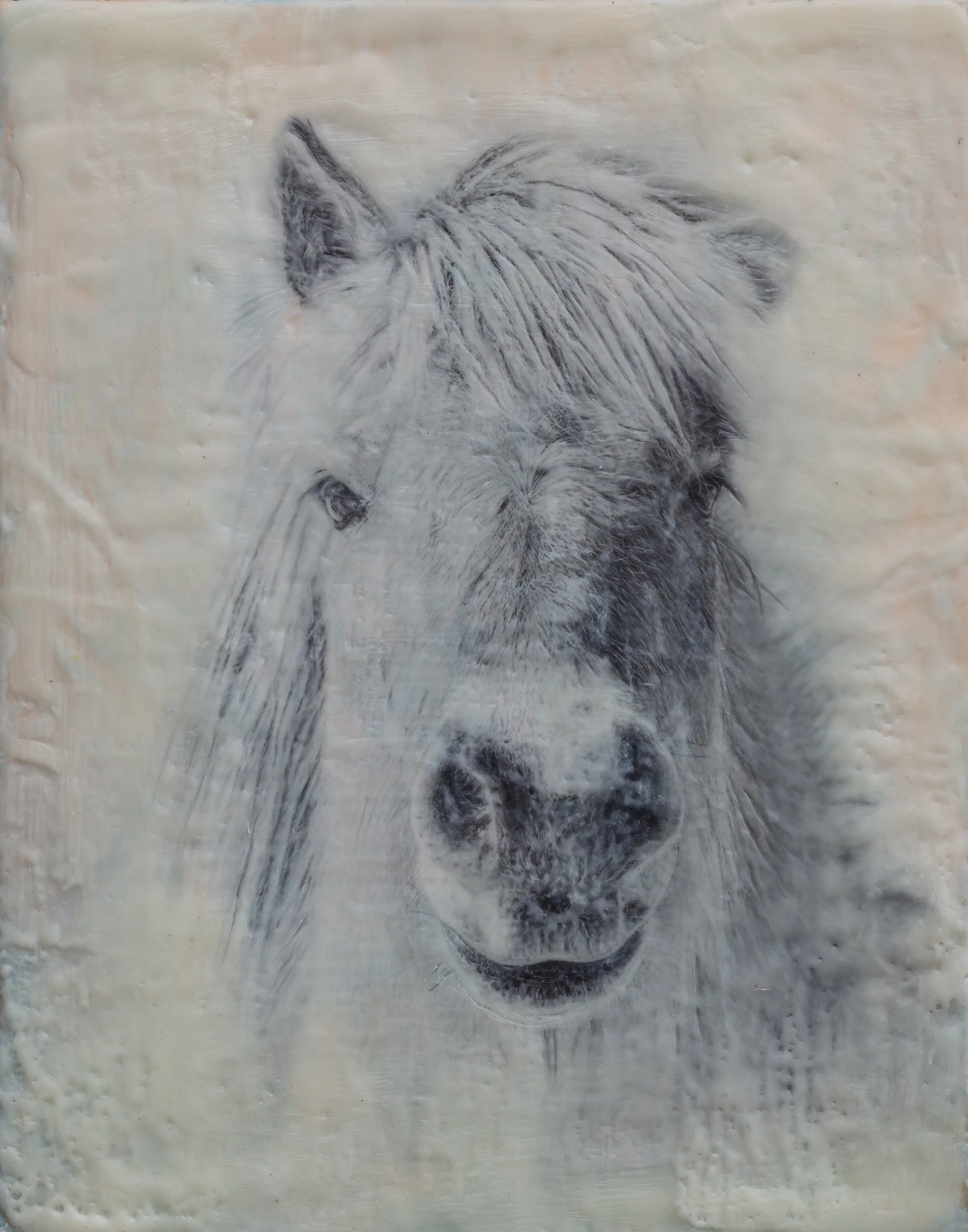 Elegant Equine Encaustic Art - 11 x 14