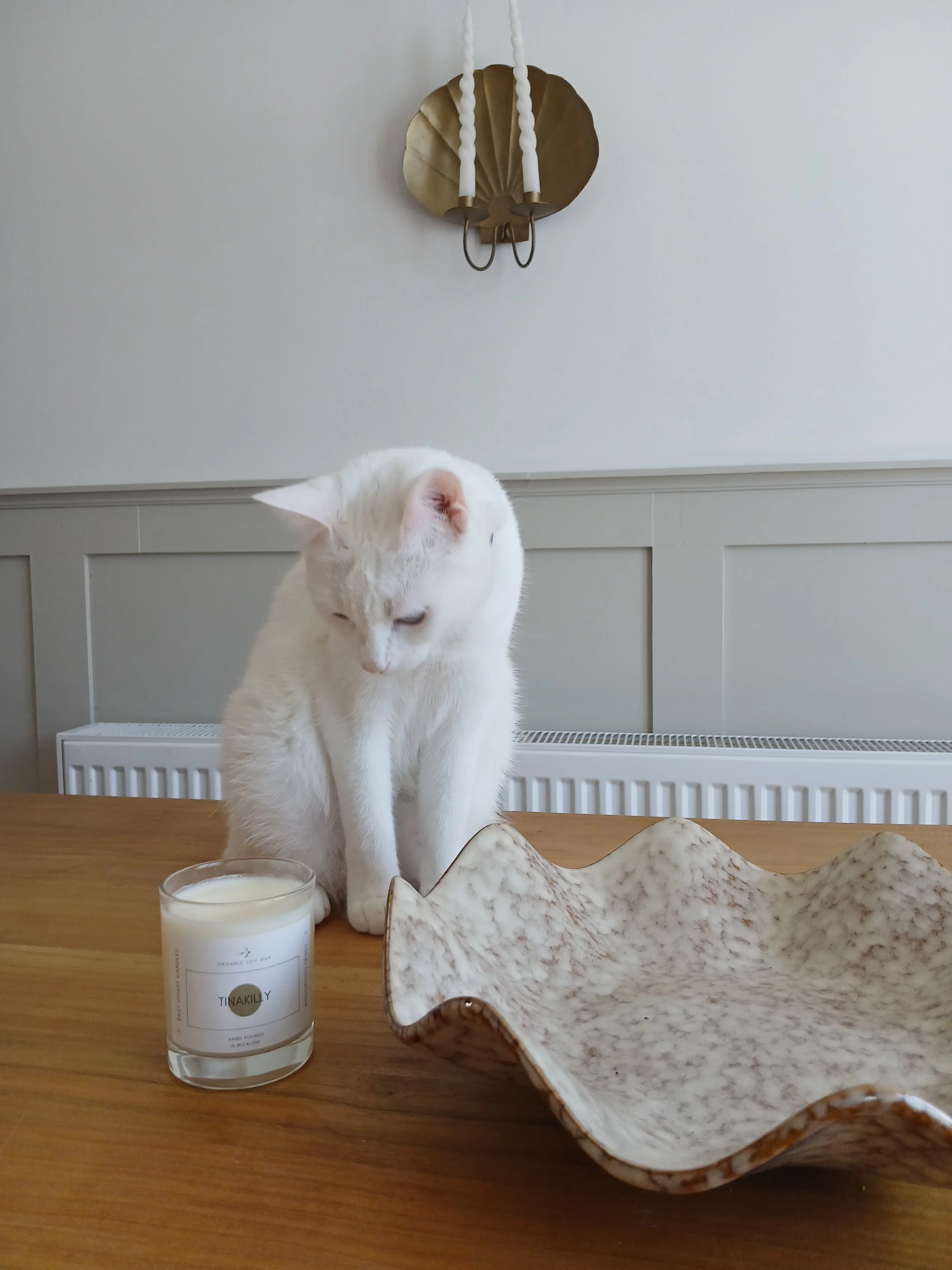 White cat sitting on a wooden table in front of a lit candle, a large decorative bowl, and a ceramic wall sconce with candles, with a white wall and radiator in the background.