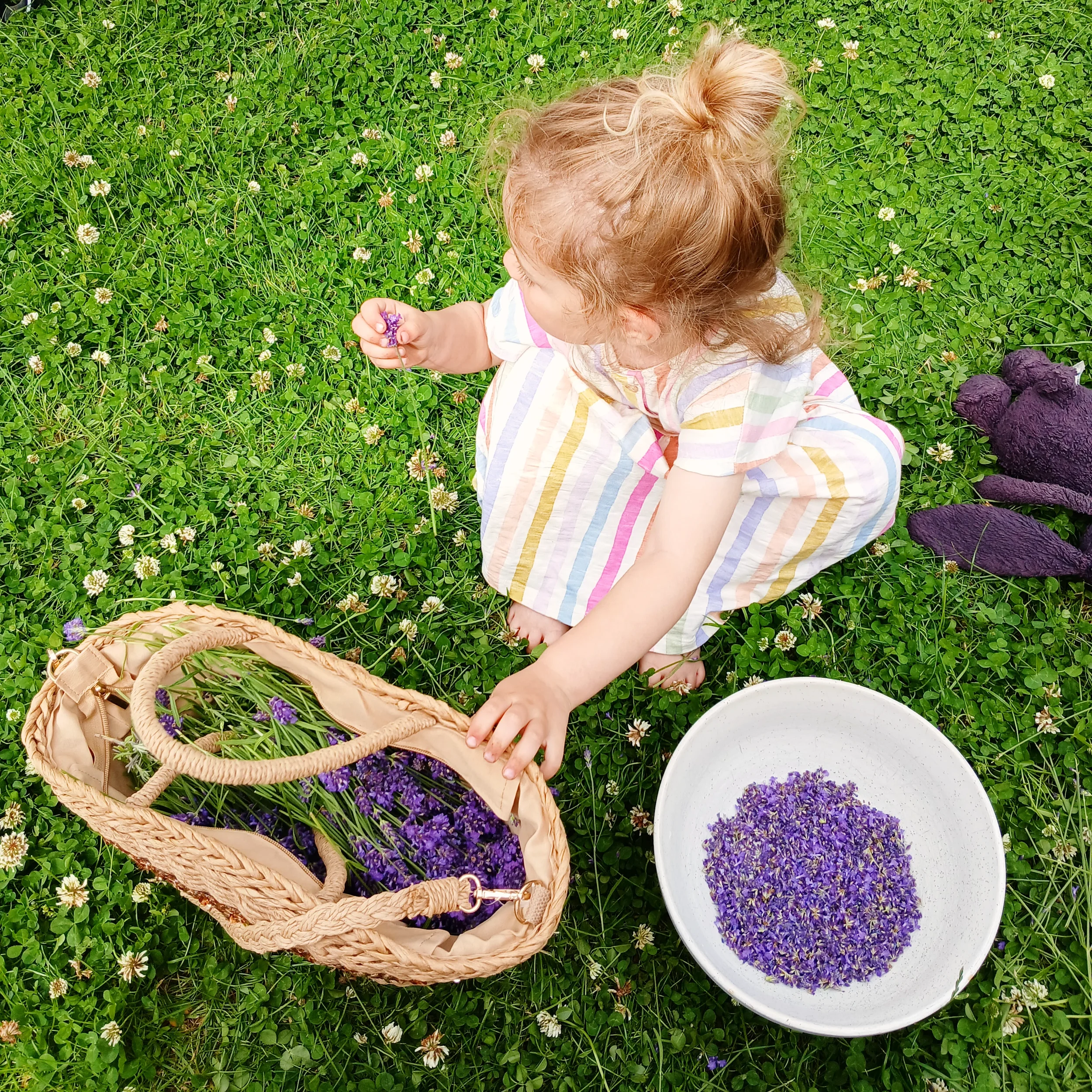 IMG_20260630_110320_217.webp