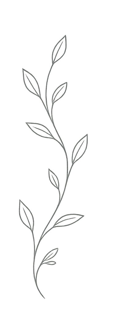 Simple line drawing of a plant stem with multiple leaves branching off.