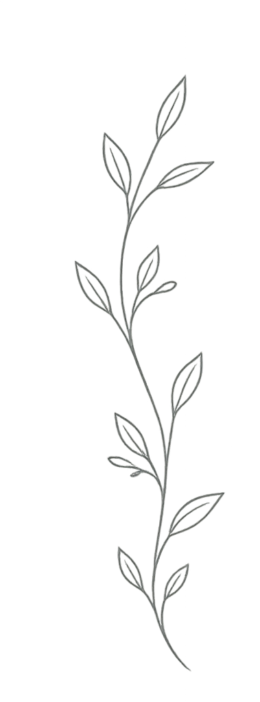 A simple black and white line drawing of a vertical plant with multiple leaves along a central stem.