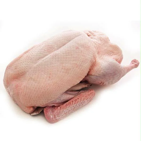 Duck.jpg