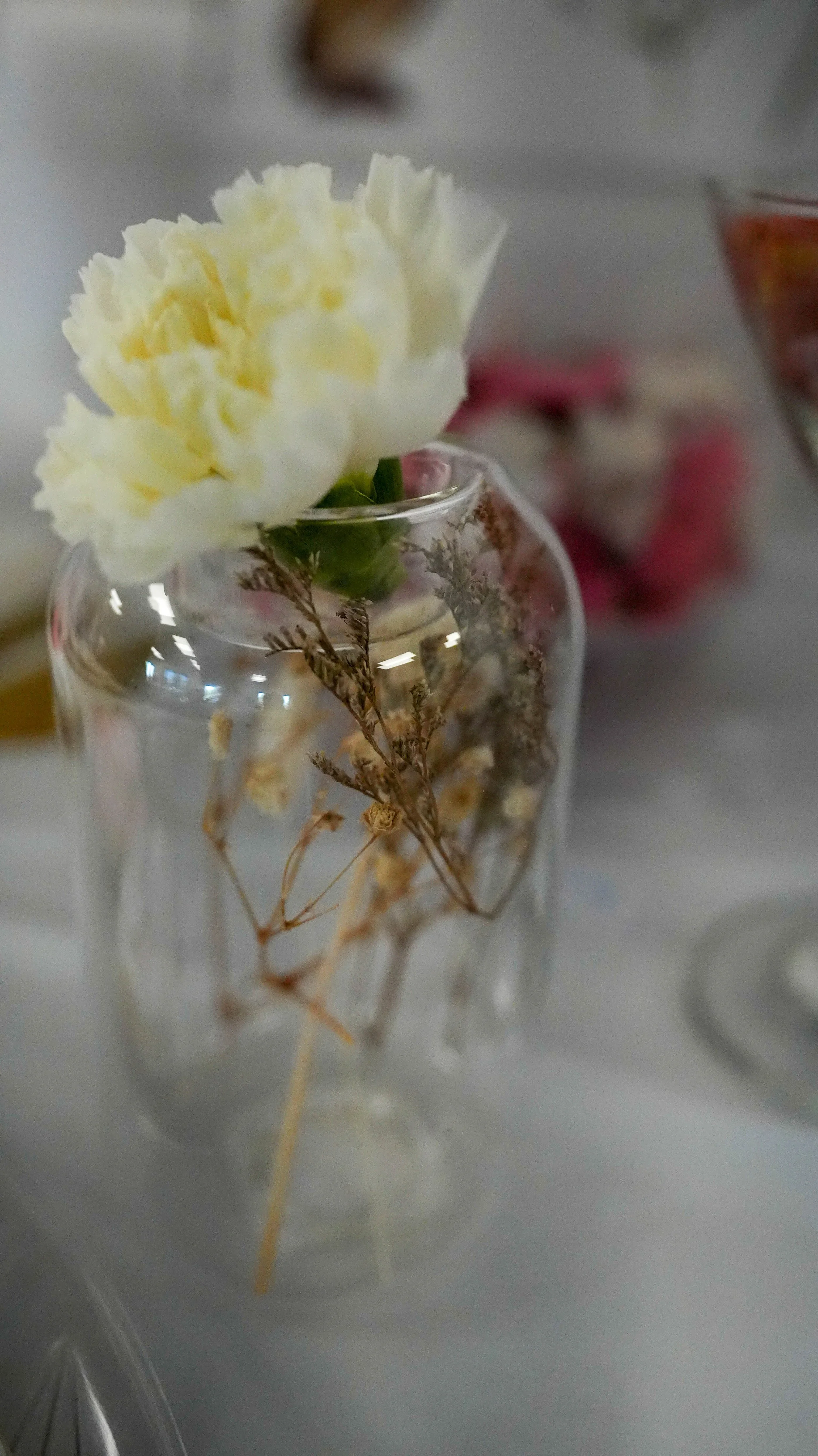 A clear glass vase with a single white flower and dried stems inside, placed on a light-colored surface with a slightly blurred background.