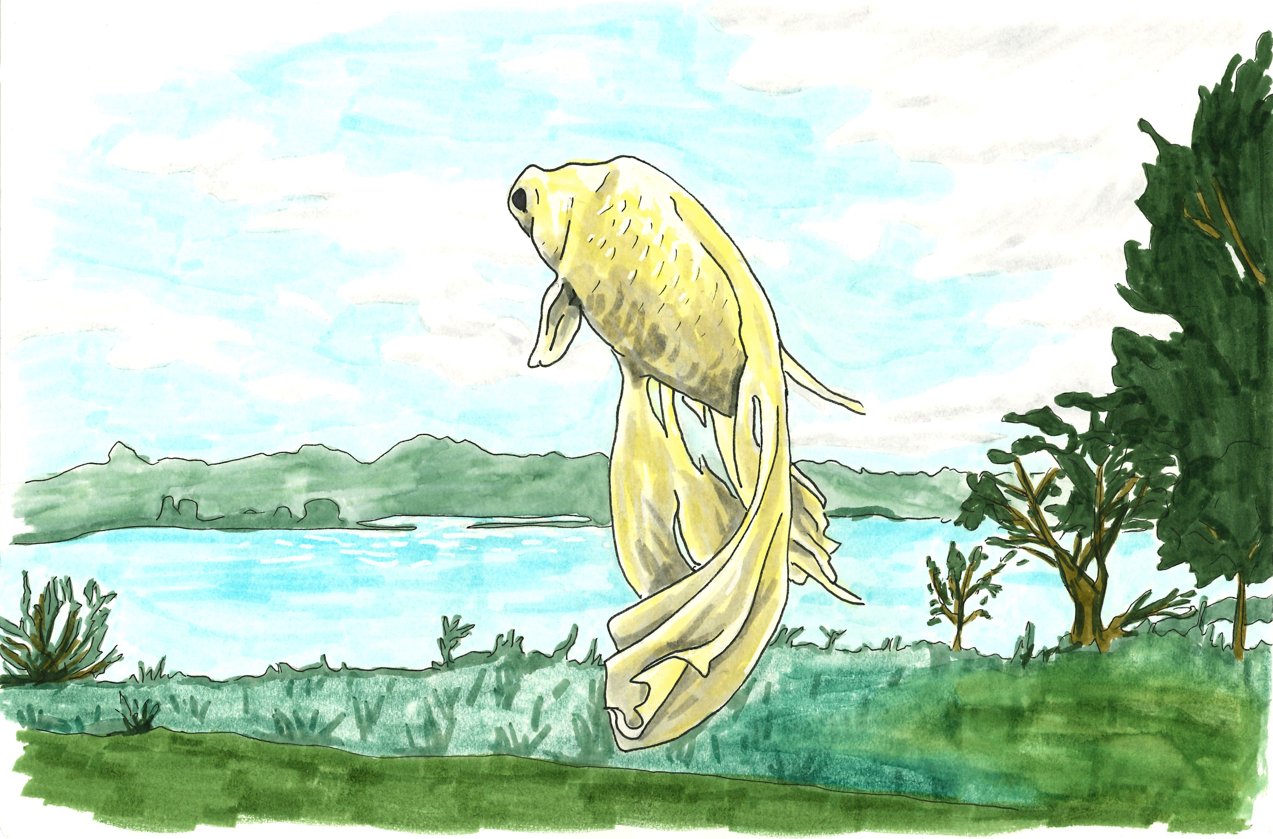"Fish out of Water" - 2022