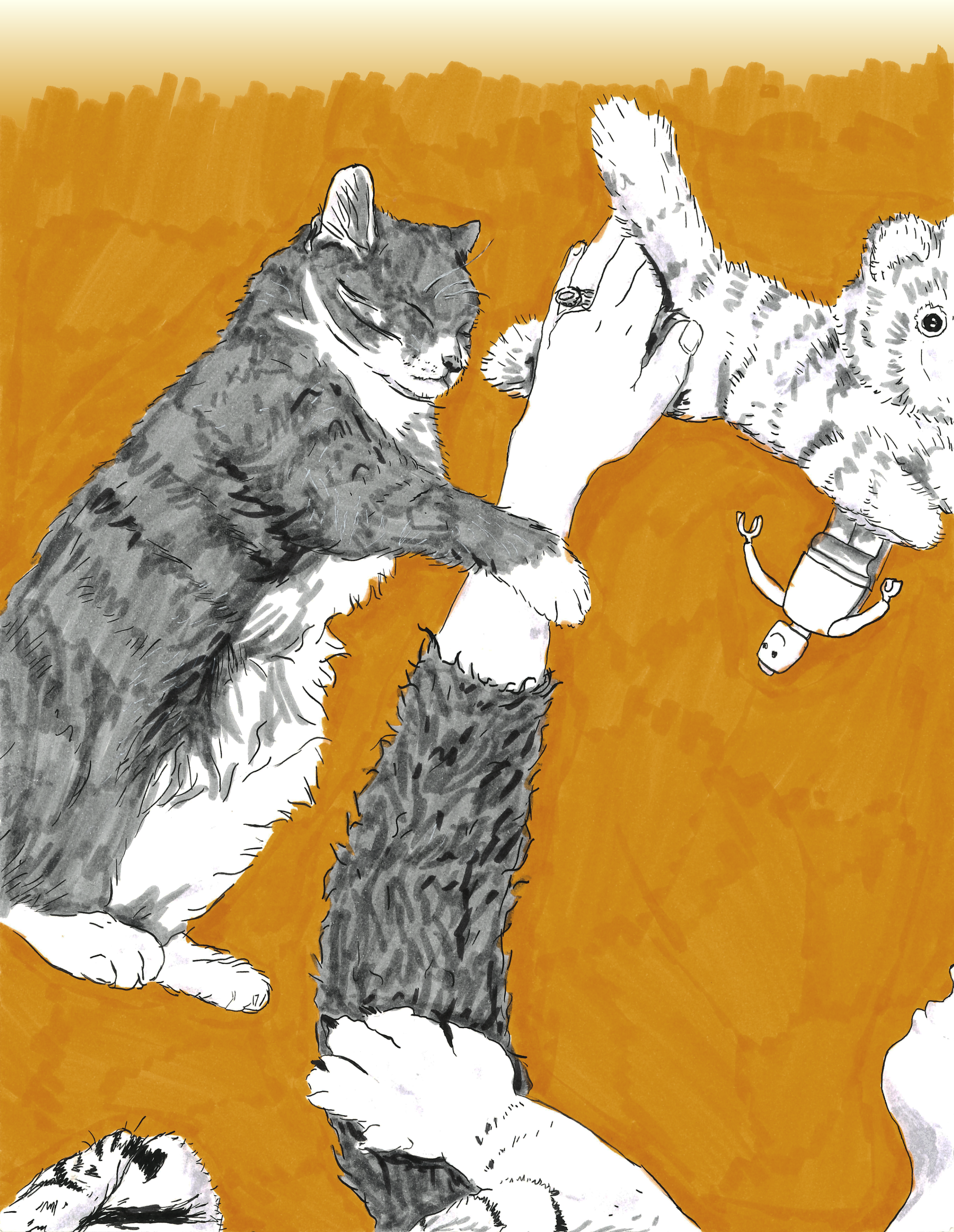 "Human-Animal Bond" - 2024