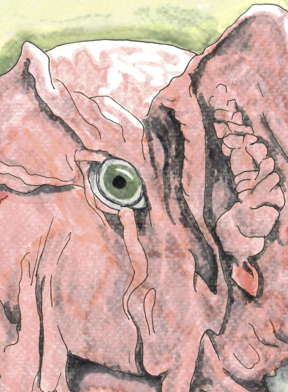 humphrey.png