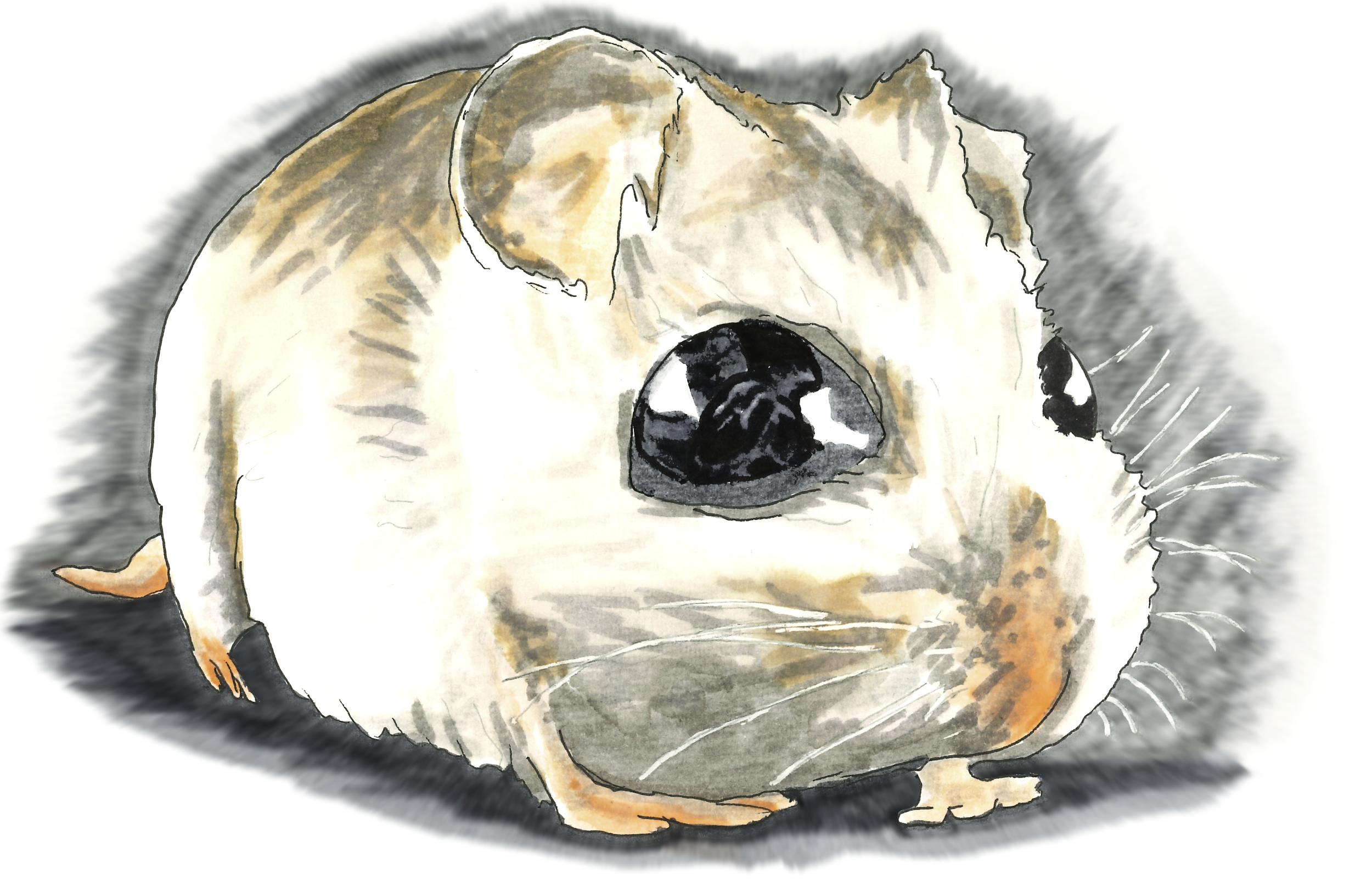 "Perdido and the Dog" - 2025