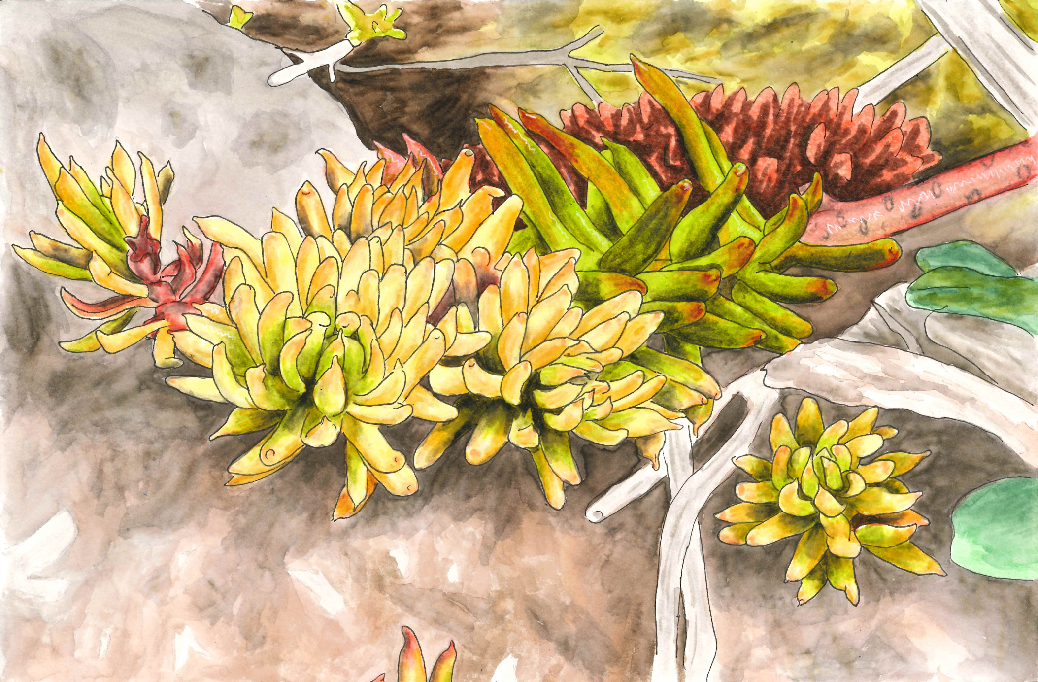 "Stop and Smell the Mosses" - 2022