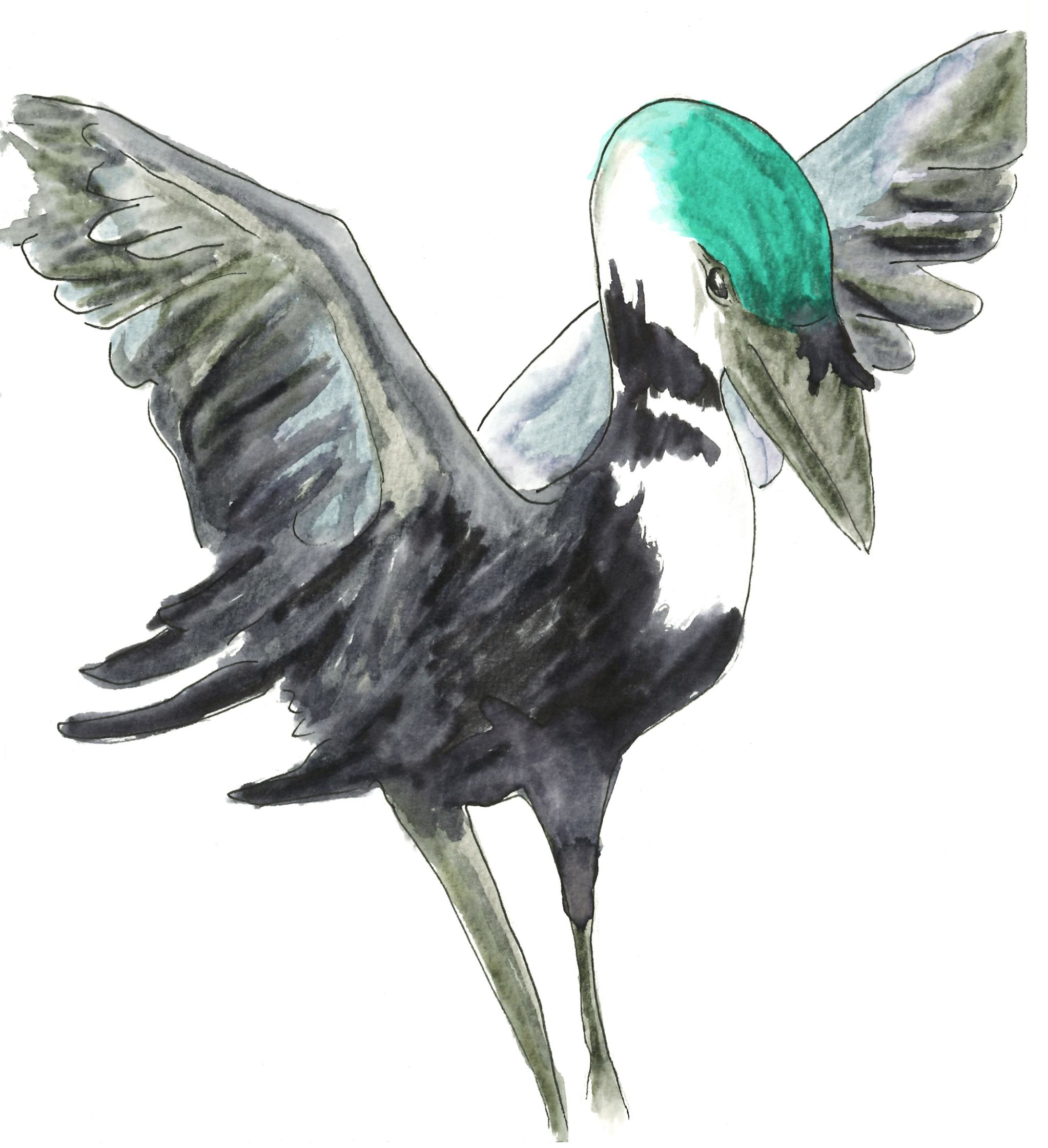 "Dream Birds" - 2026