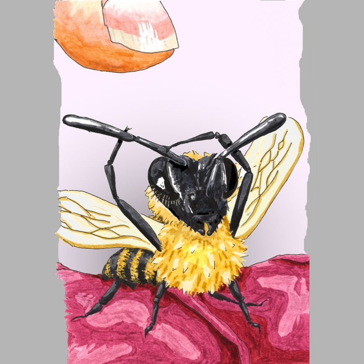 "My Pet Bee"  - 2020