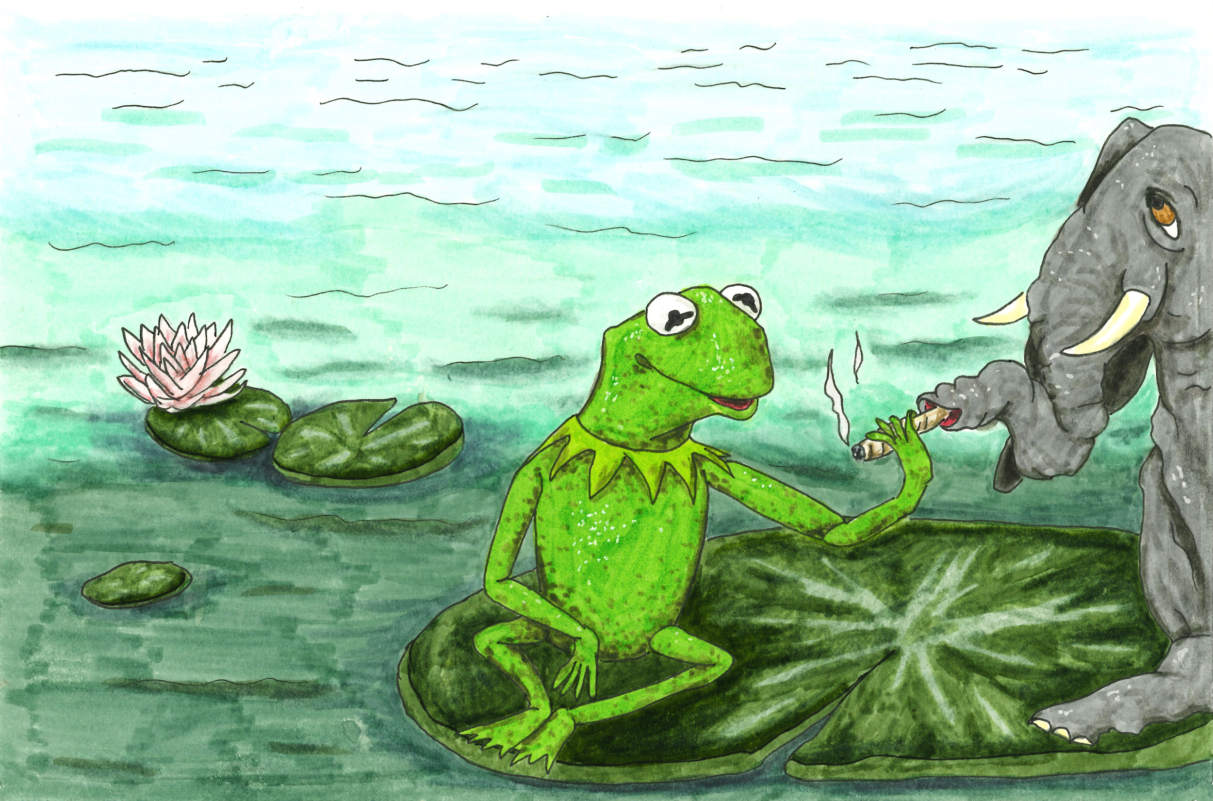 "Kermit Adventures" - 2022