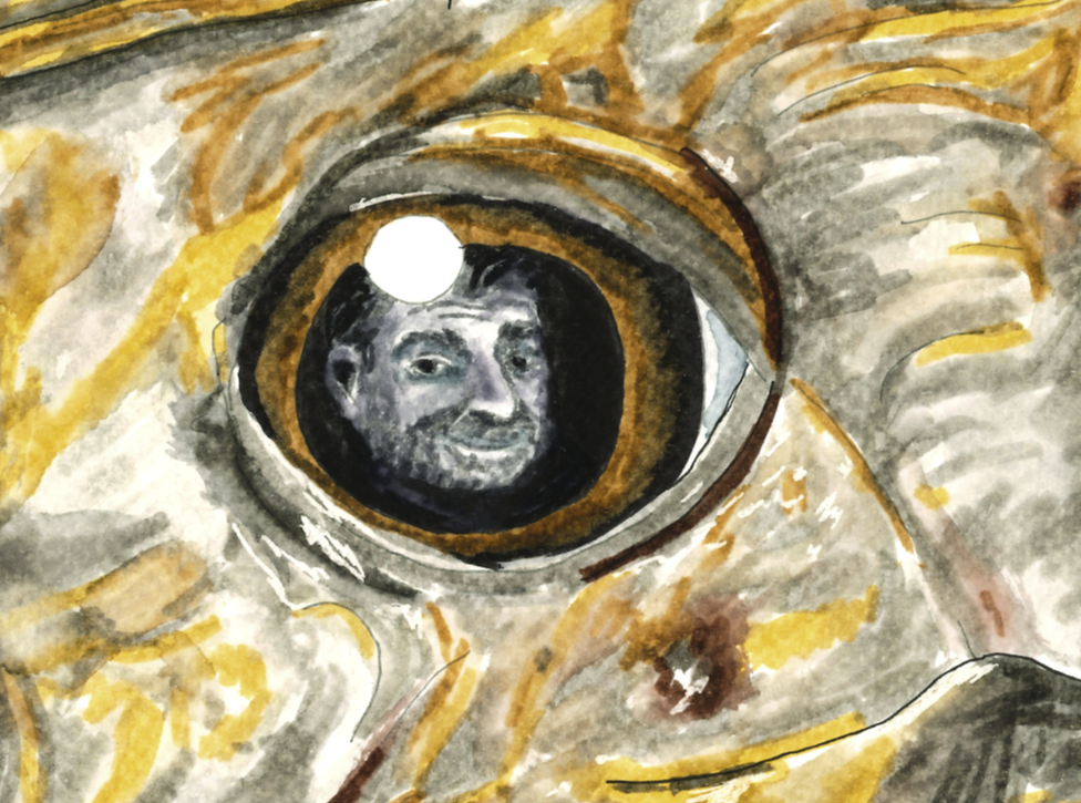 beheld.png