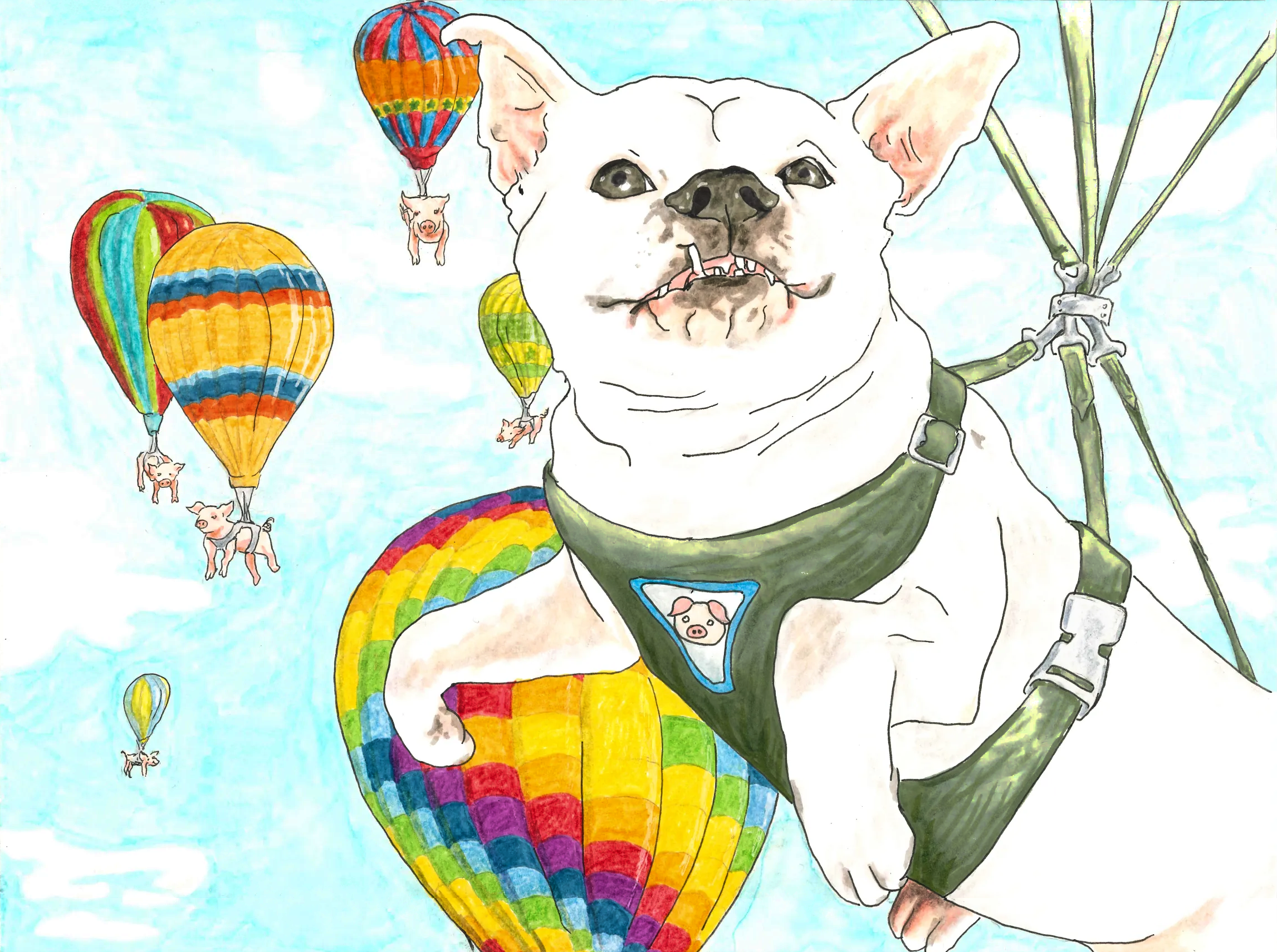 "When Pigs Fly Balloon Ride Tour Agency" - 2022