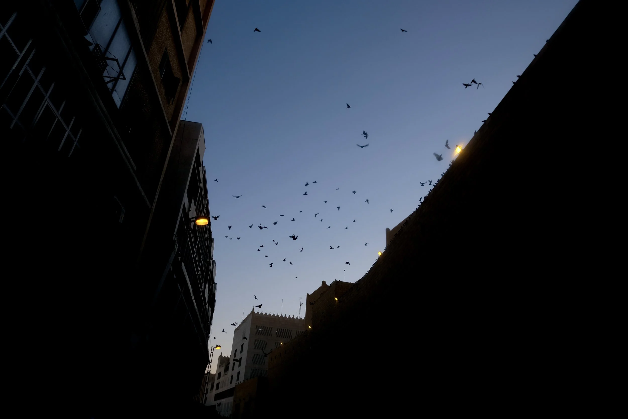 DSCF1912.JPG