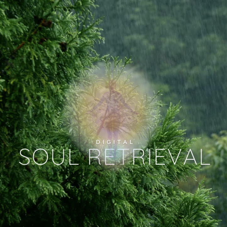 Digital Soul Retrieval