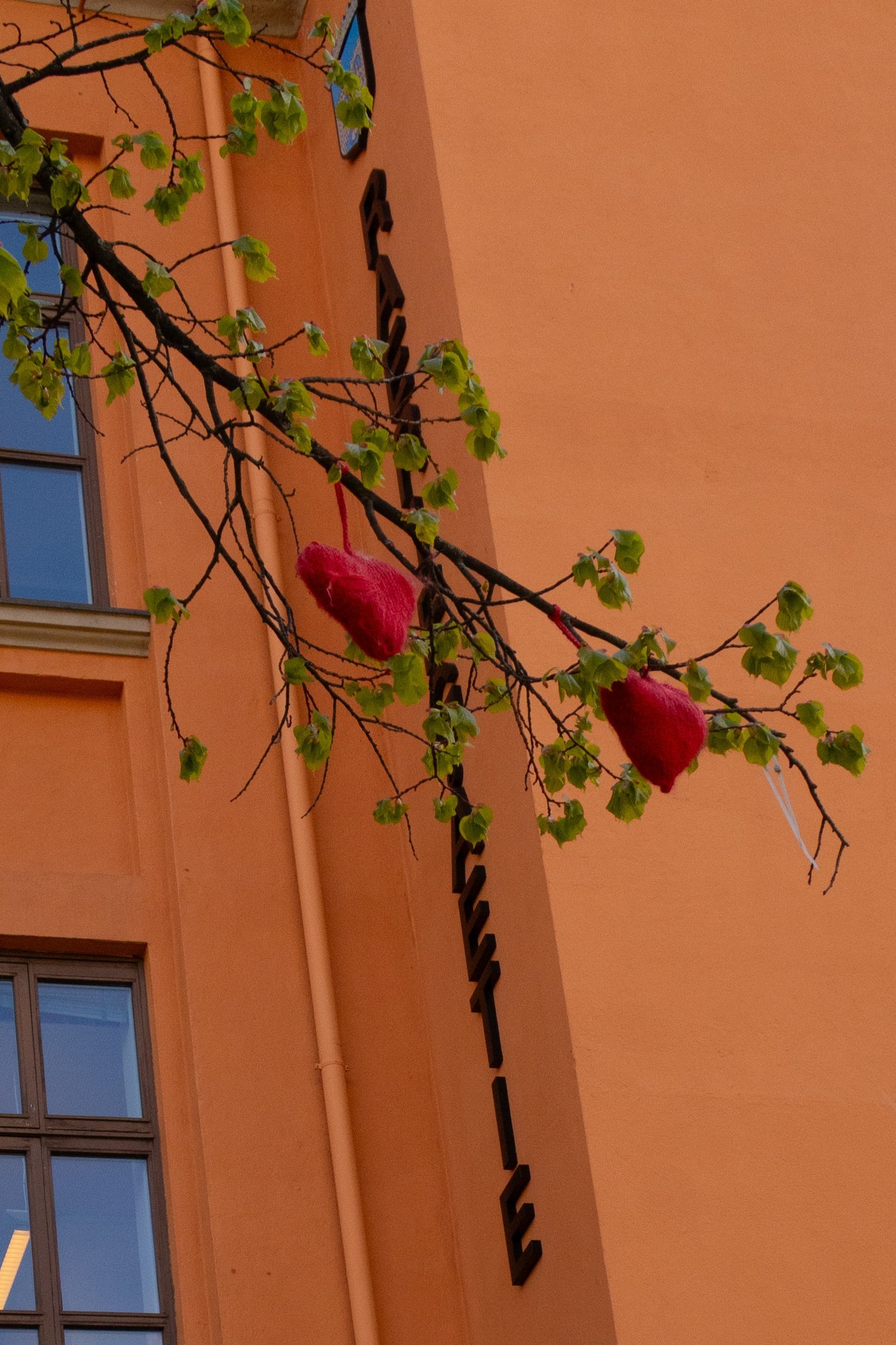 IMG_1497.jpeg
