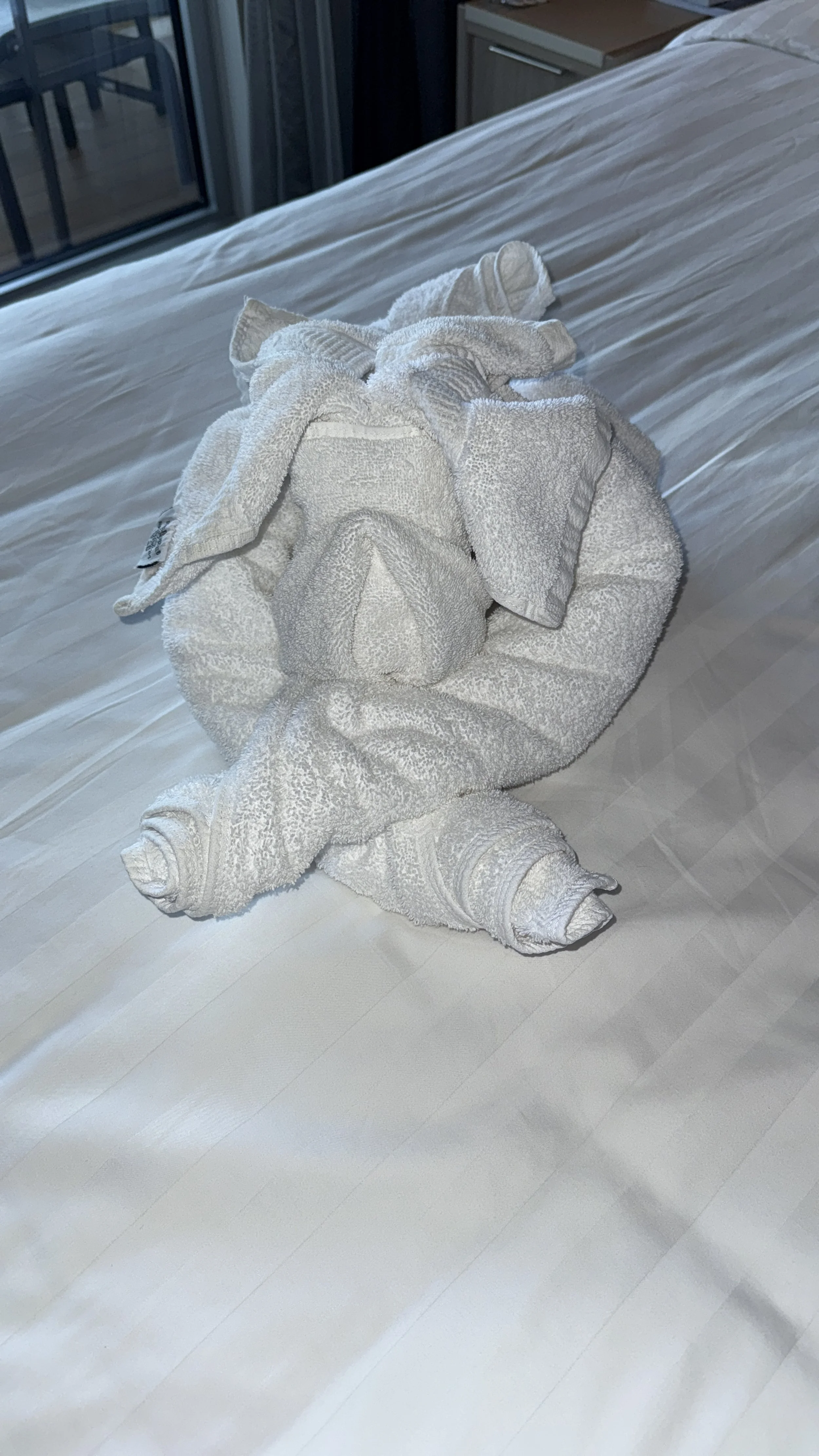 F1DD9C97-2A17-4F48-803A-C9ED2B707D9B.jpeg