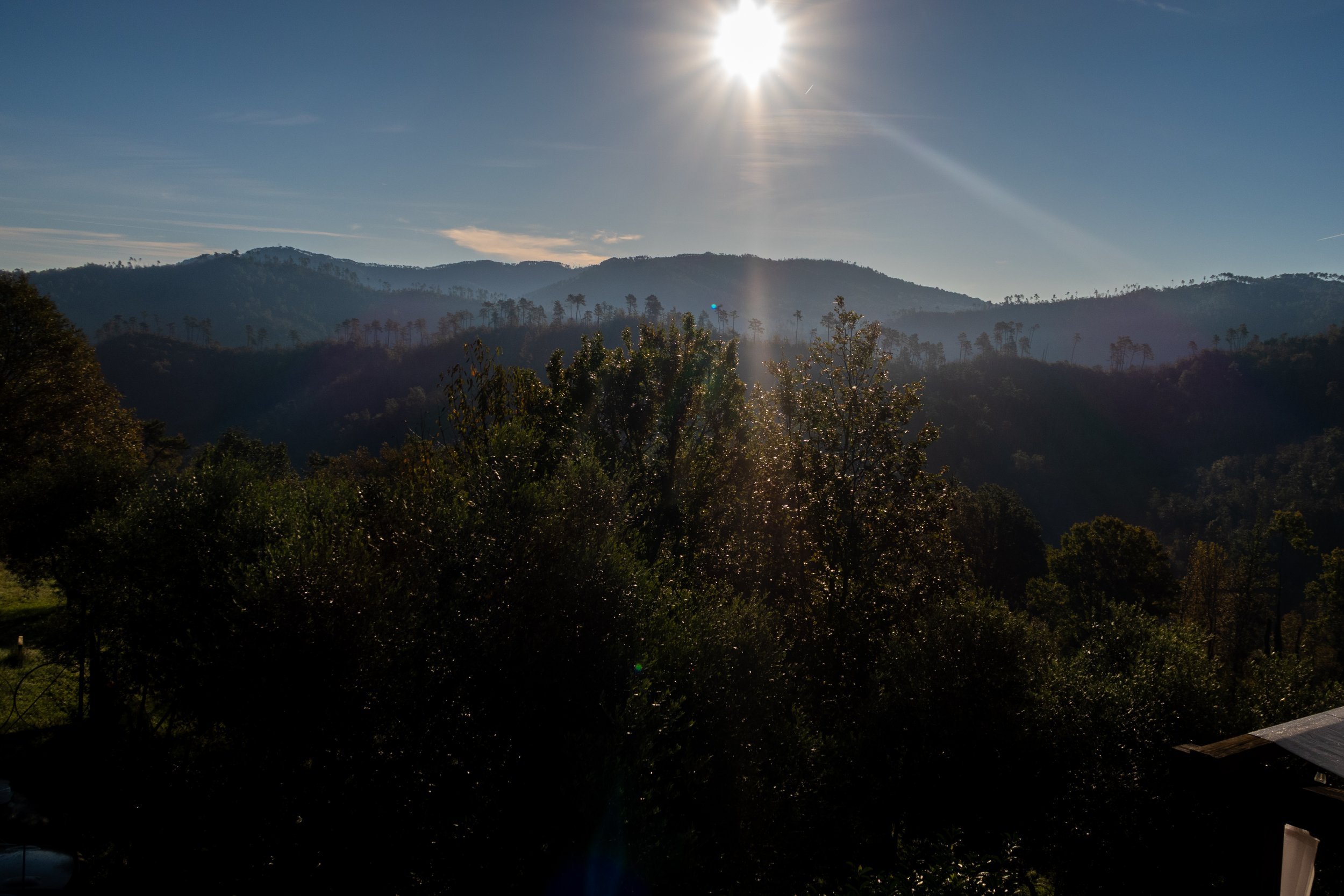 IMG_2529.jpeg