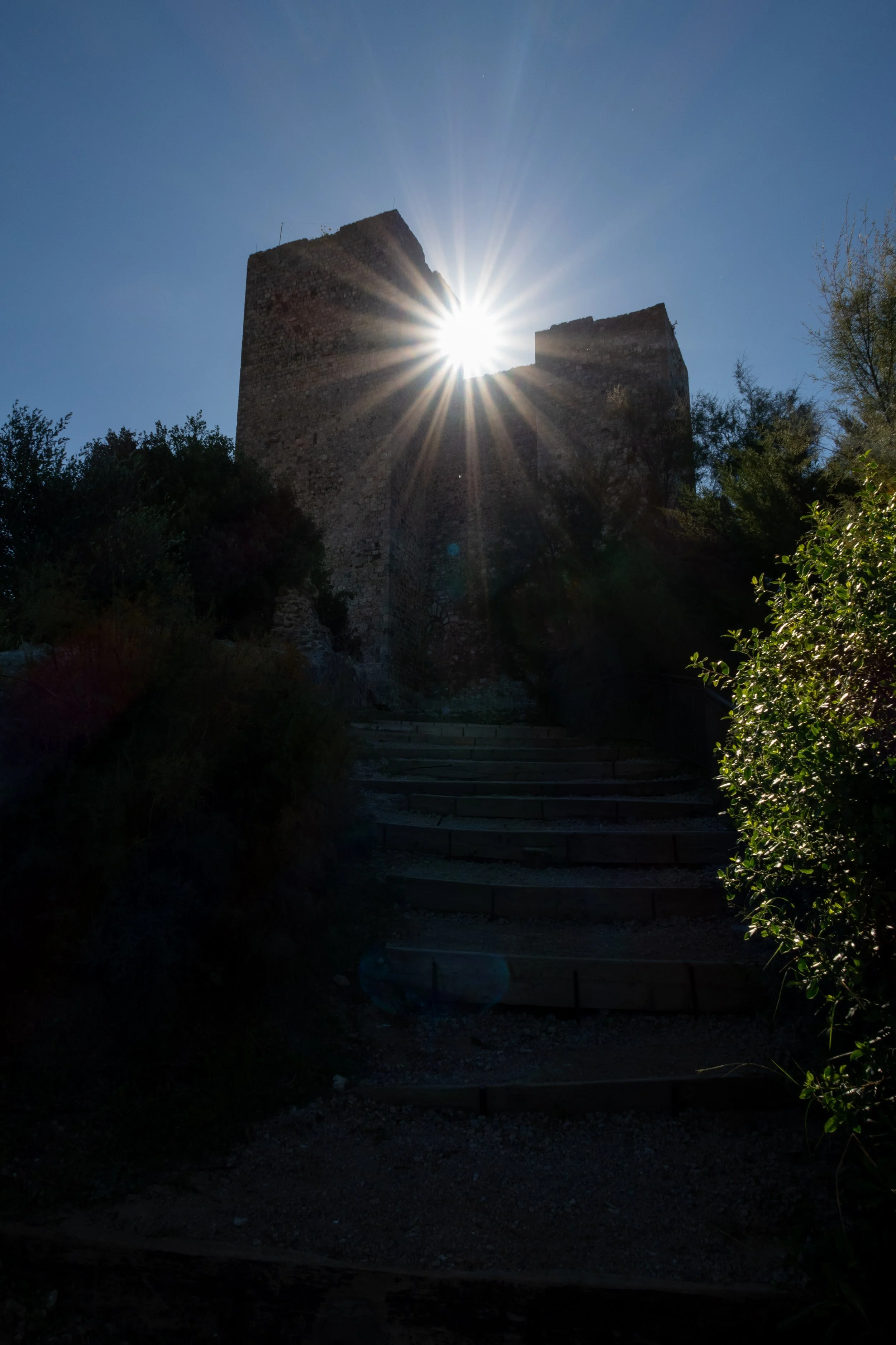 IMG_2367.jpeg