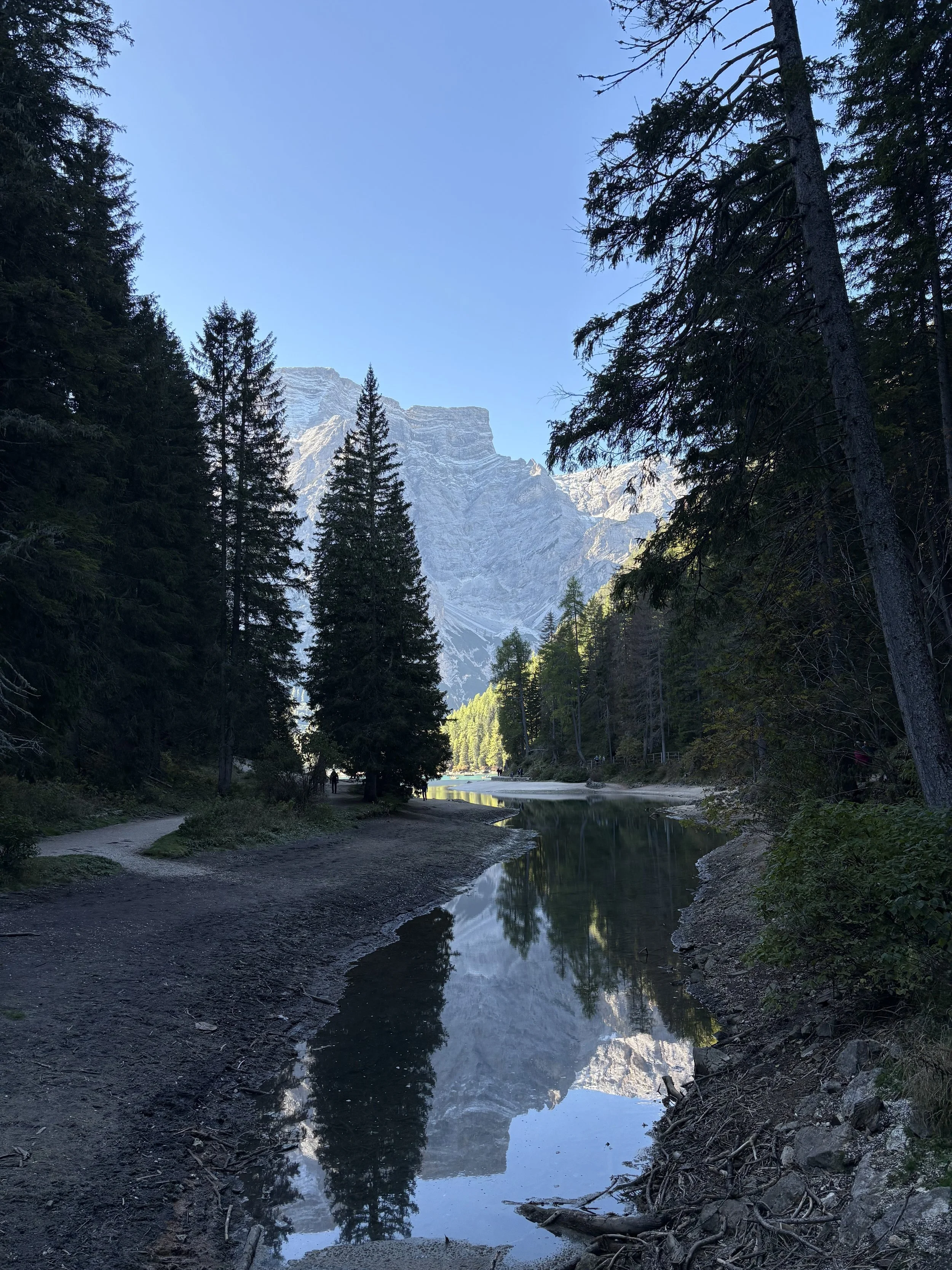 IMG_1004.jpeg