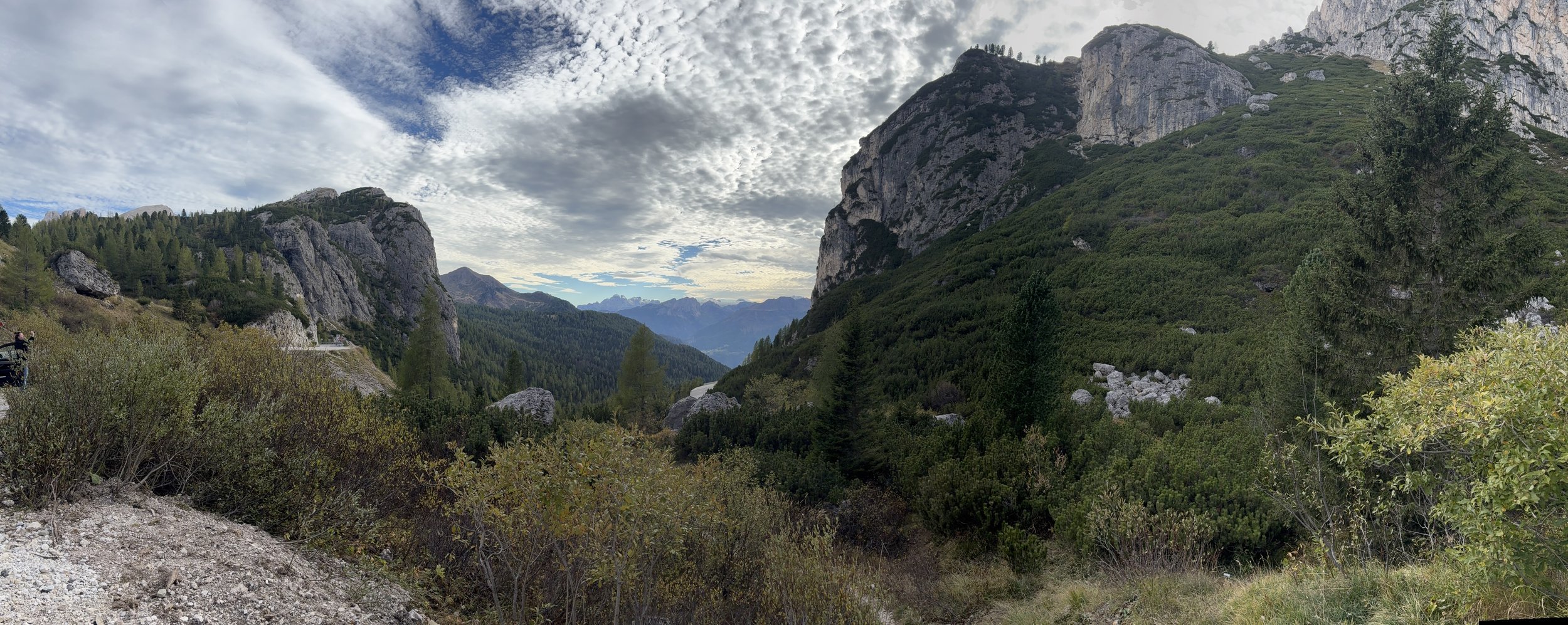 IMG_1018.jpeg