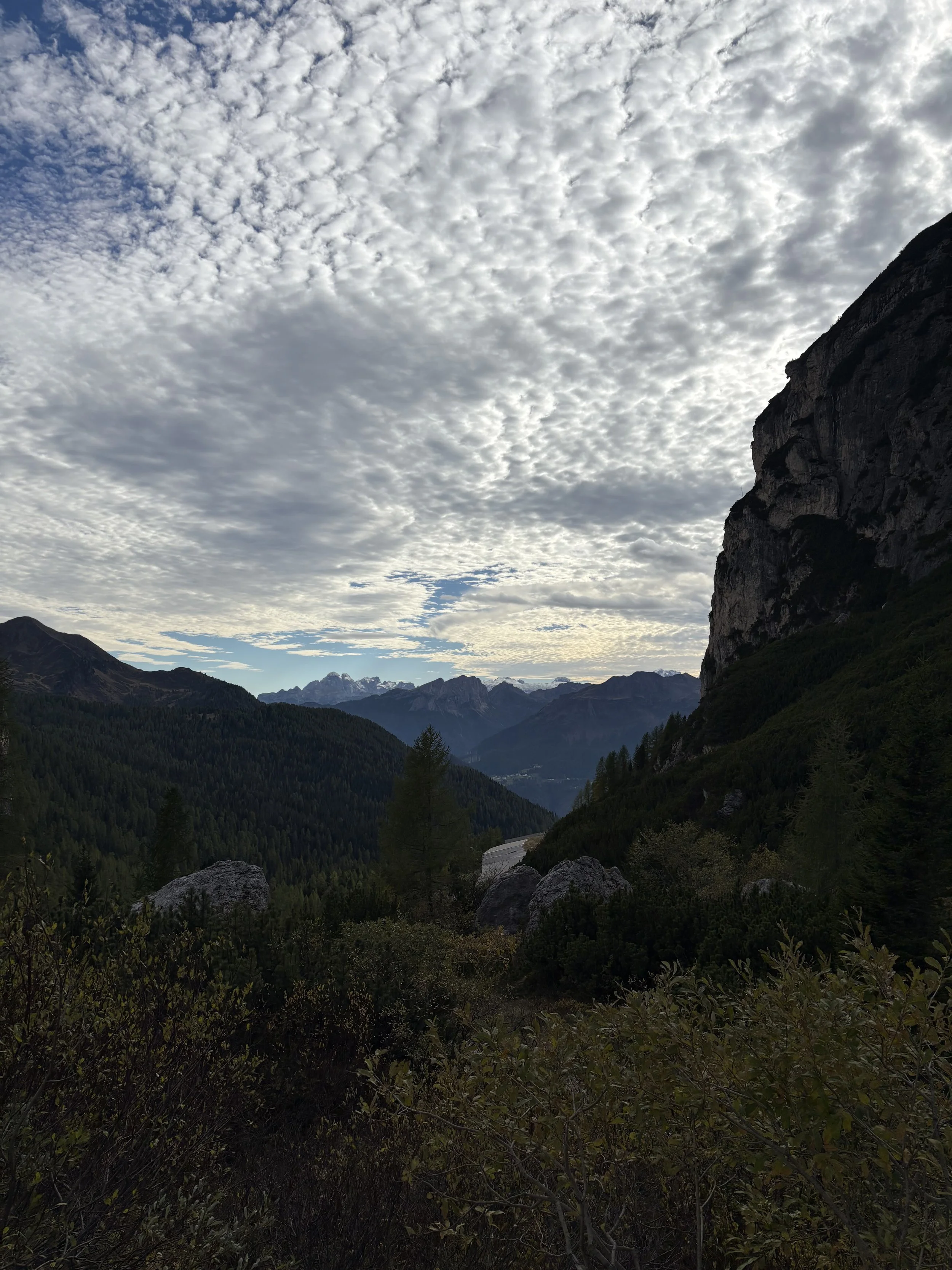 IMG_1020.jpeg