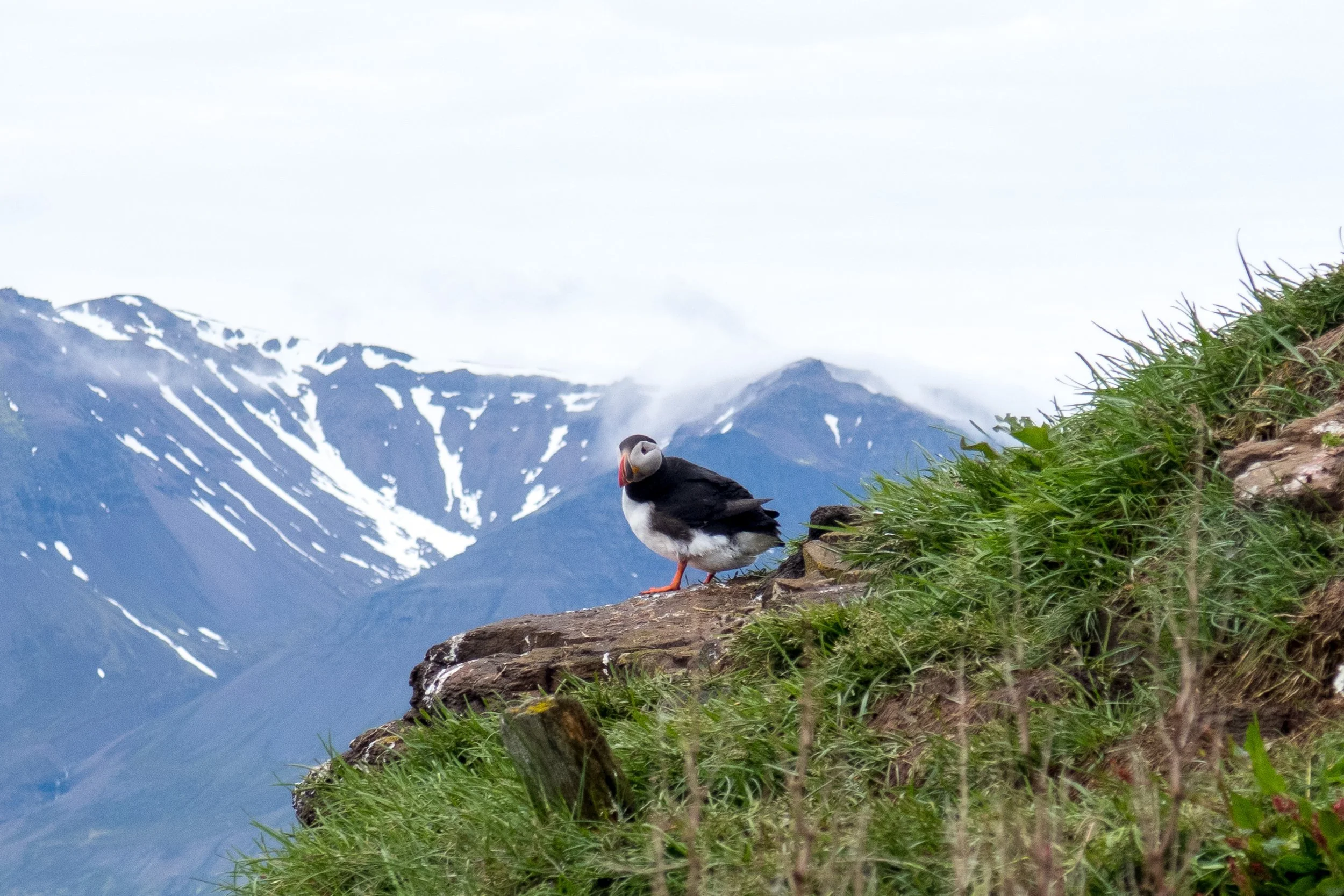 Dag 5  : Seydisfjordur (11-06-2026)