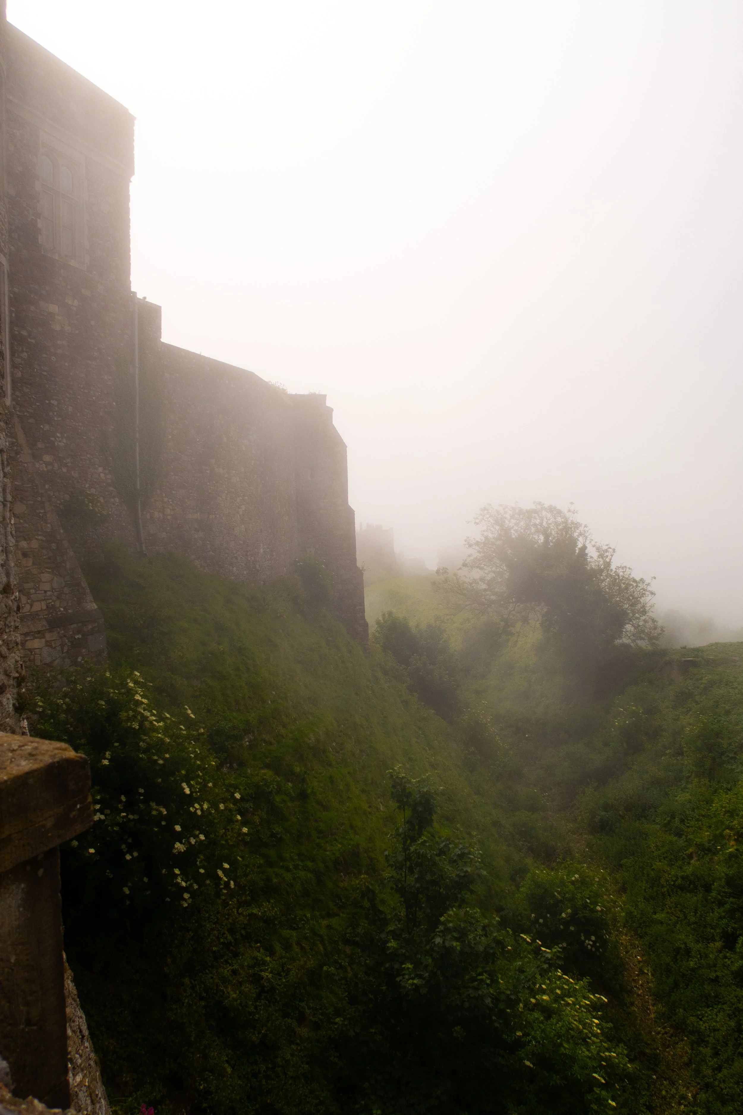 IMG_2013.jpeg