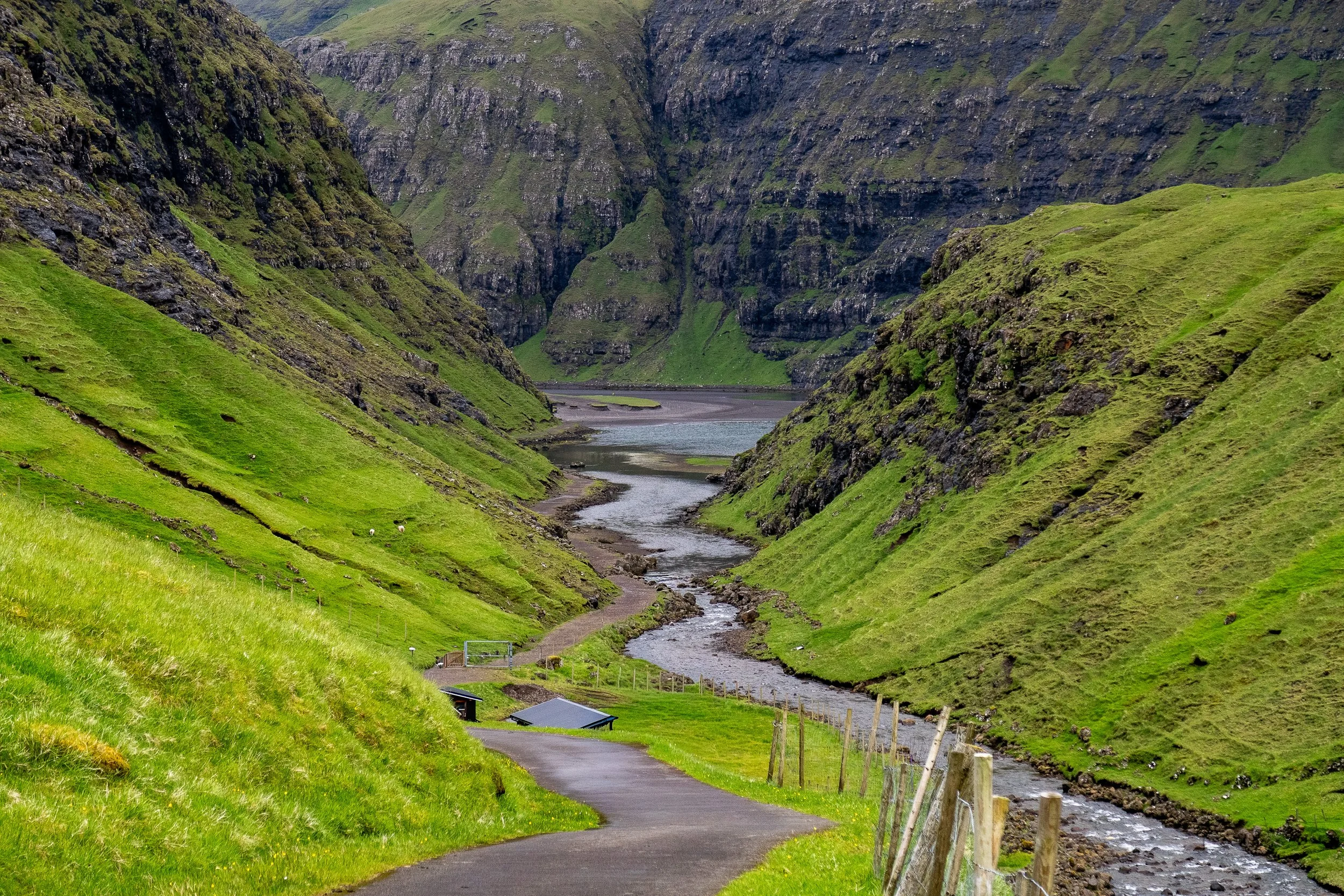 volansfotografie-68.jpeg
