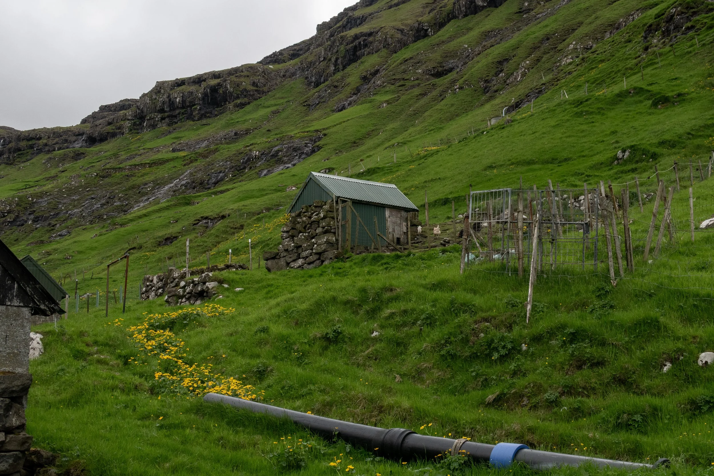 volansfotografie-62.jpeg